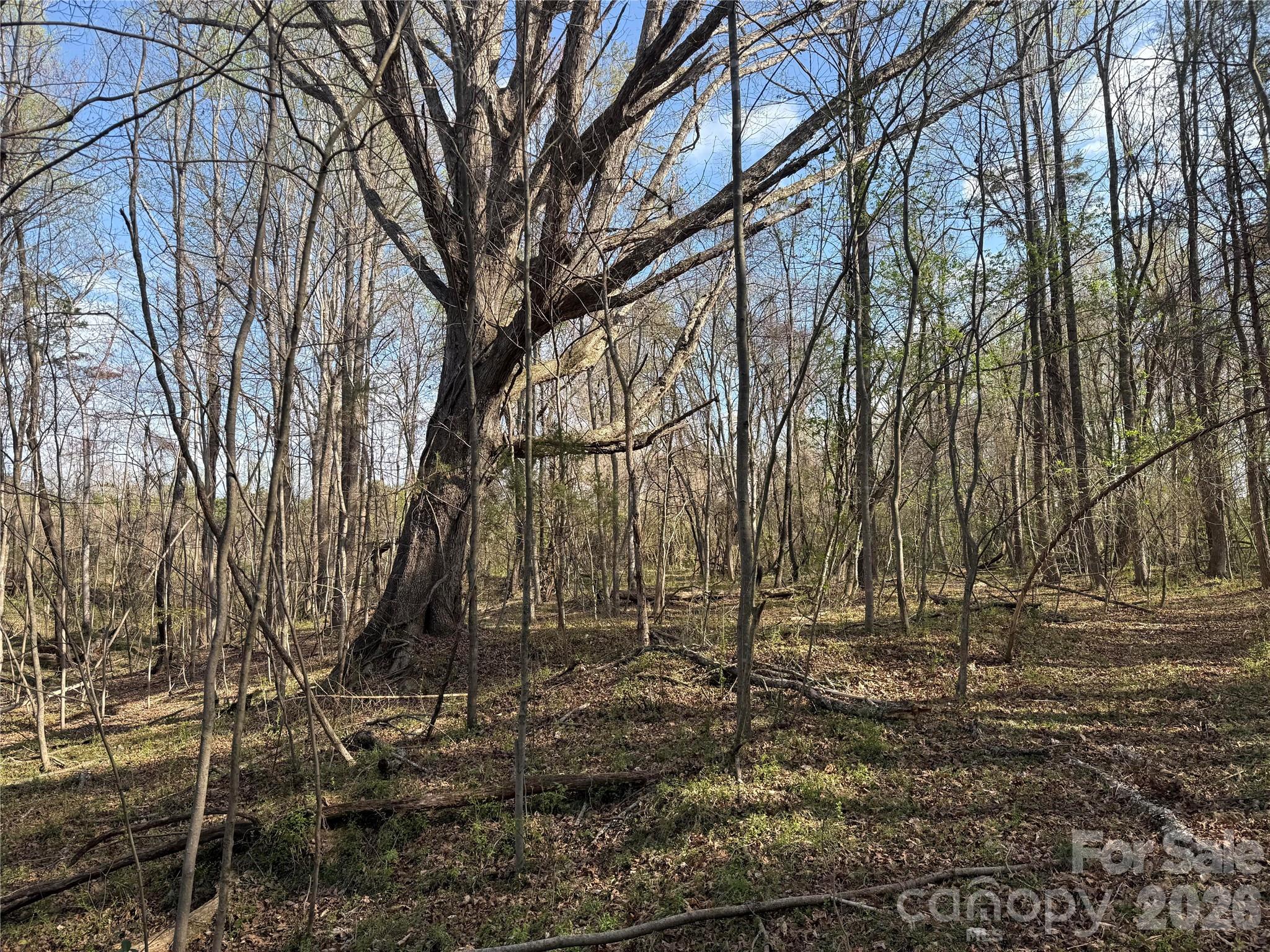 1164 Robert C Kellam Road Pinnacle, NC 27043 - Photo 16 of 48 a view of backyard of house