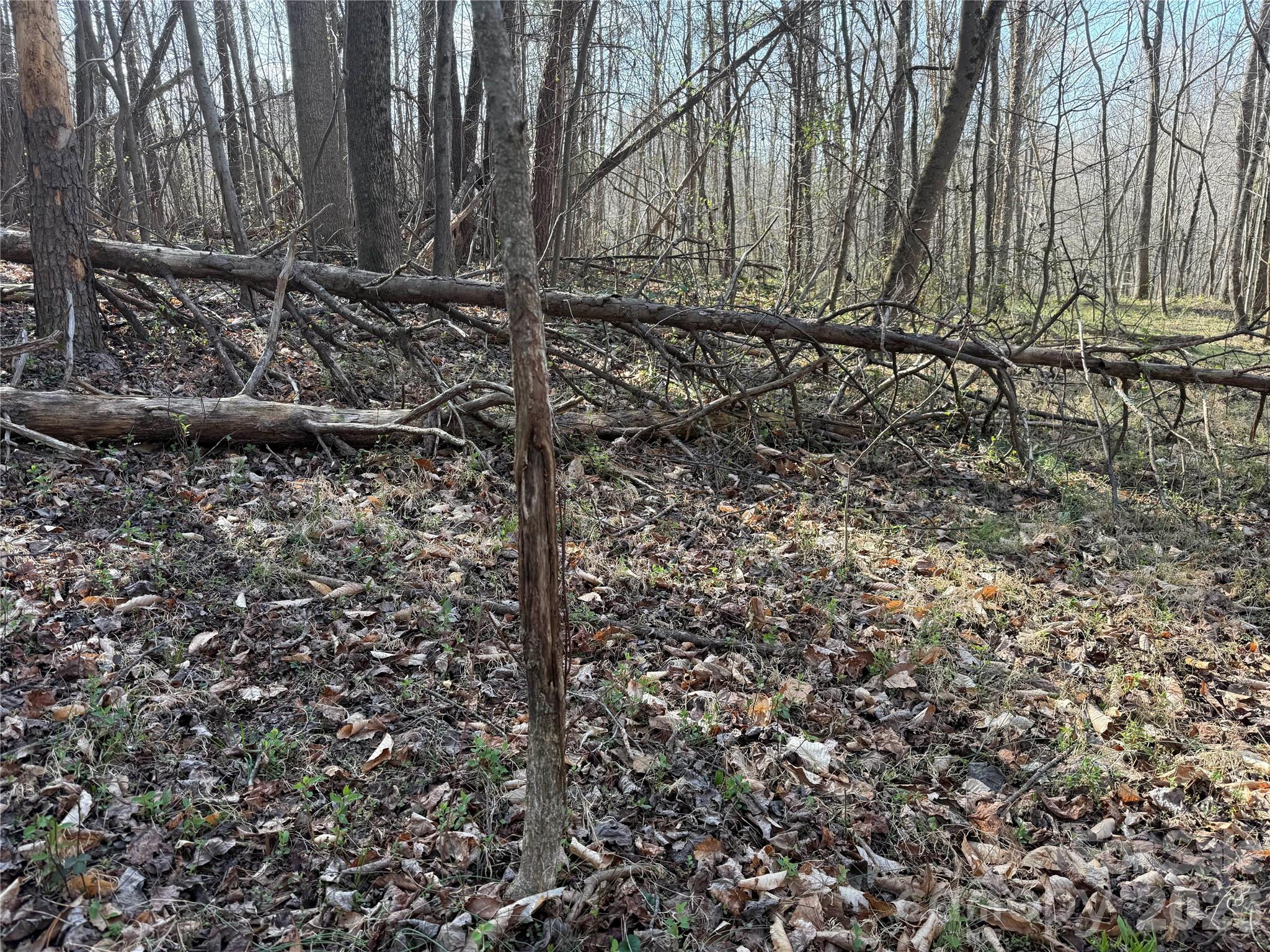 1164 Robert C Kellam Road Pinnacle, NC 27043 - Photo 17 of 48 a view of a backyard of the house