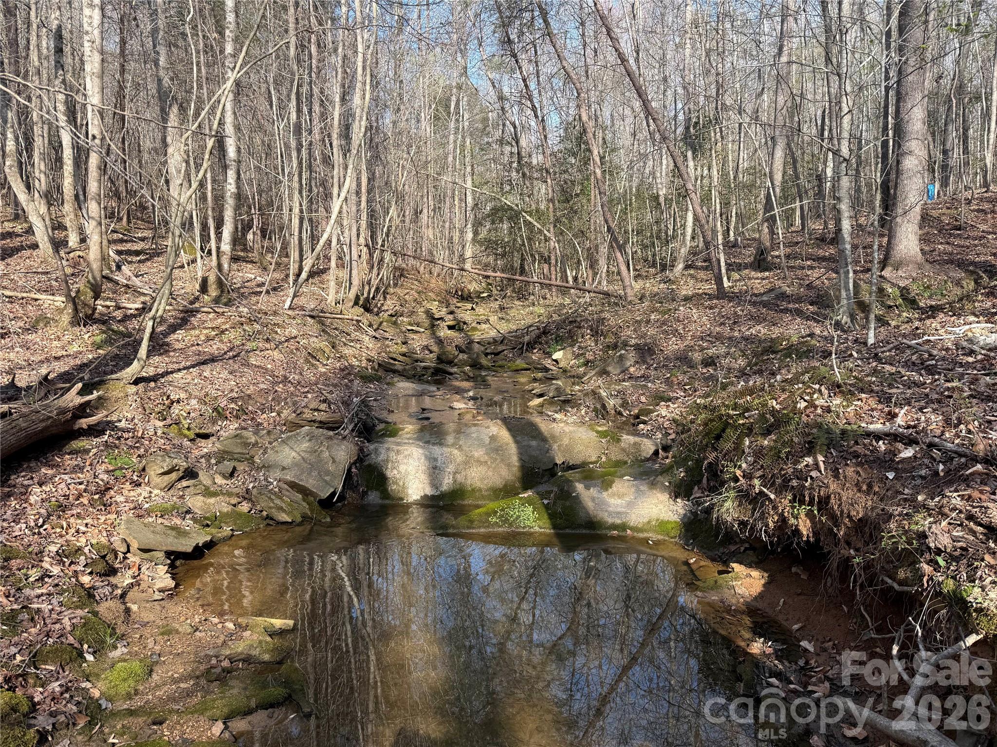1164 Robert C Kellam Road Pinnacle, NC 27043 - Photo 18 of 48 a backyard of a house with a yard