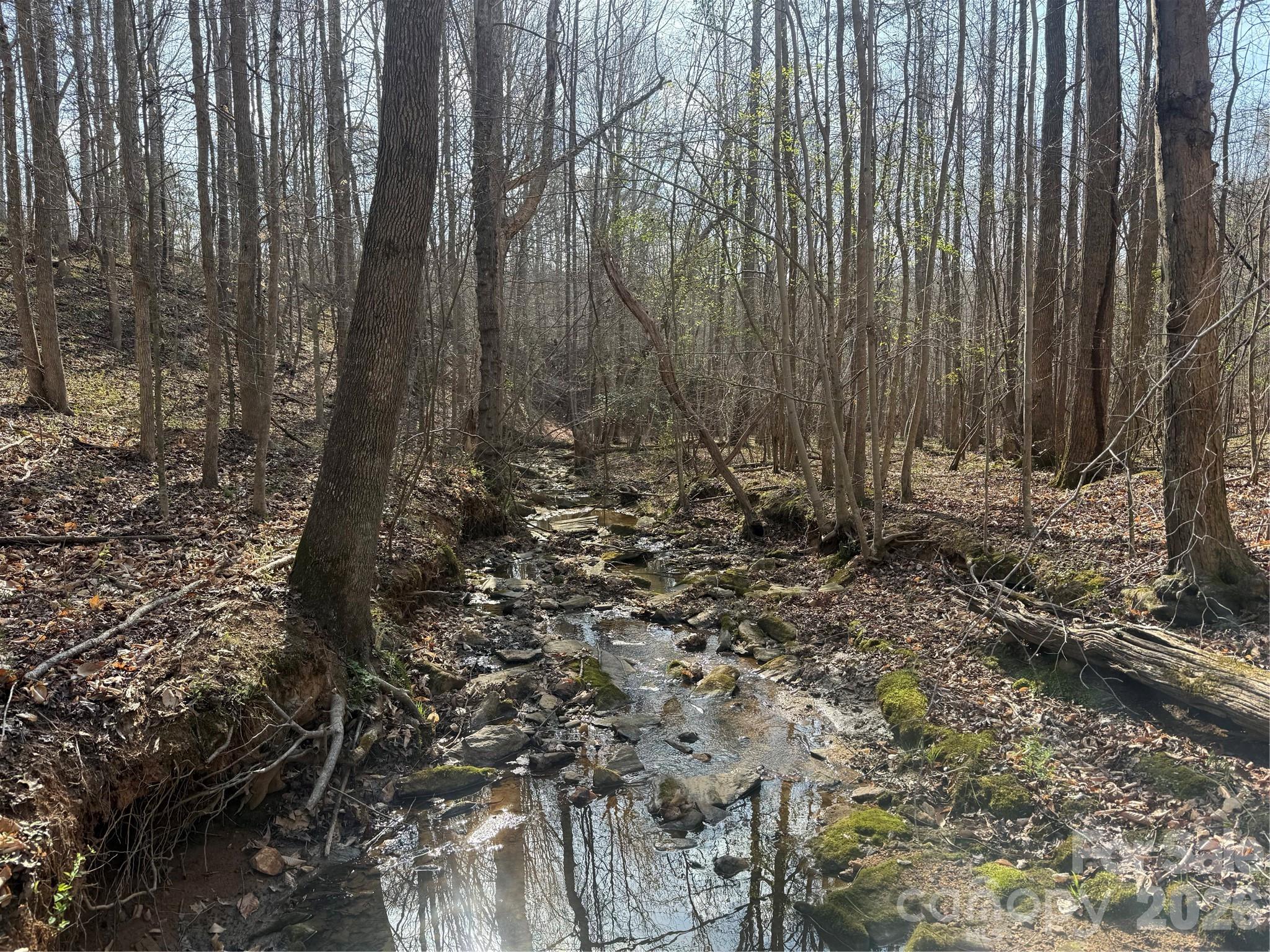 1164 Robert C Kellam Road Pinnacle, NC 27043 - Photo 19 of 48