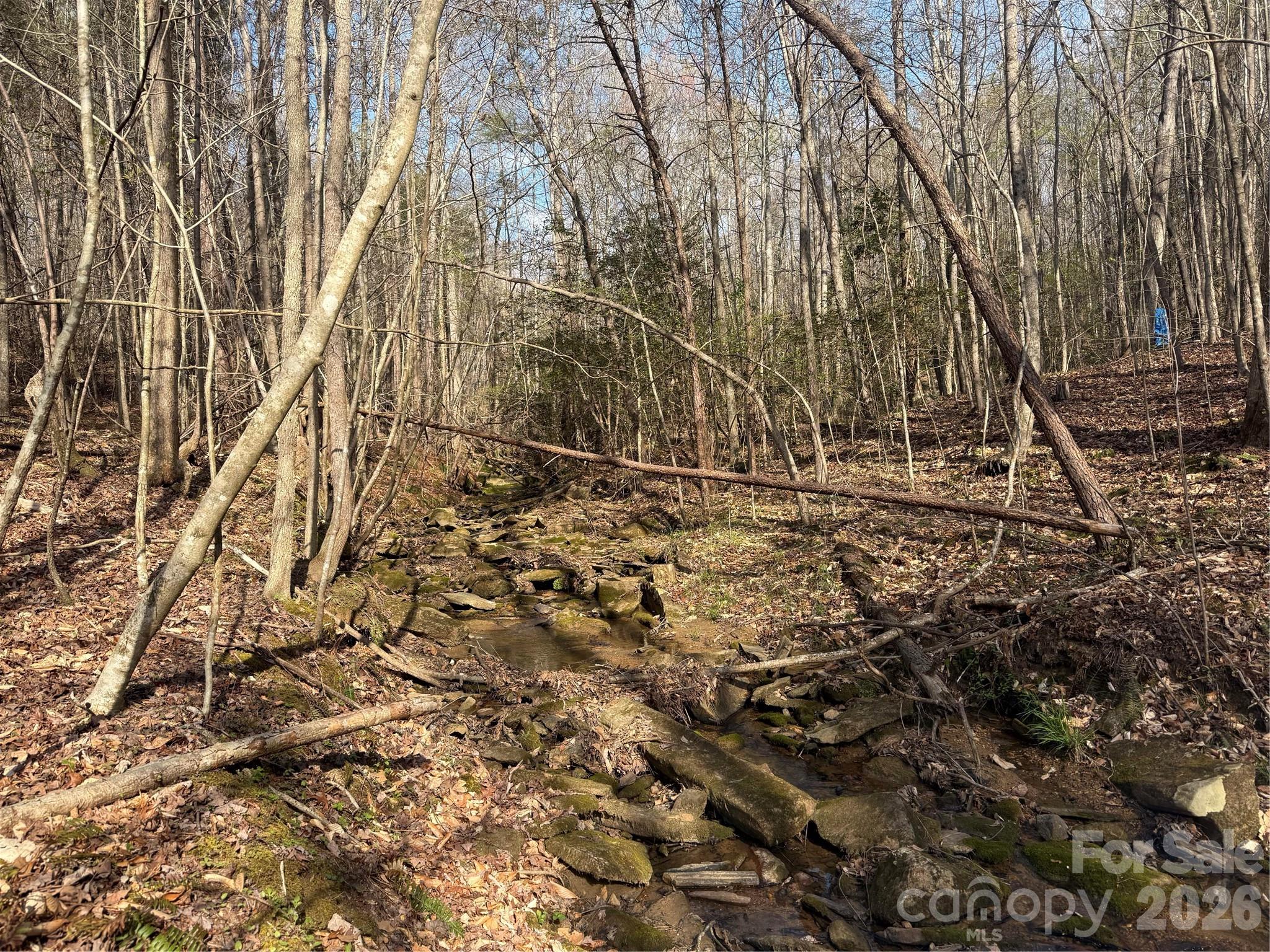 1164 Robert C Kellam Road Pinnacle, NC 27043 - Photo 20 of 48 a yard with a trees