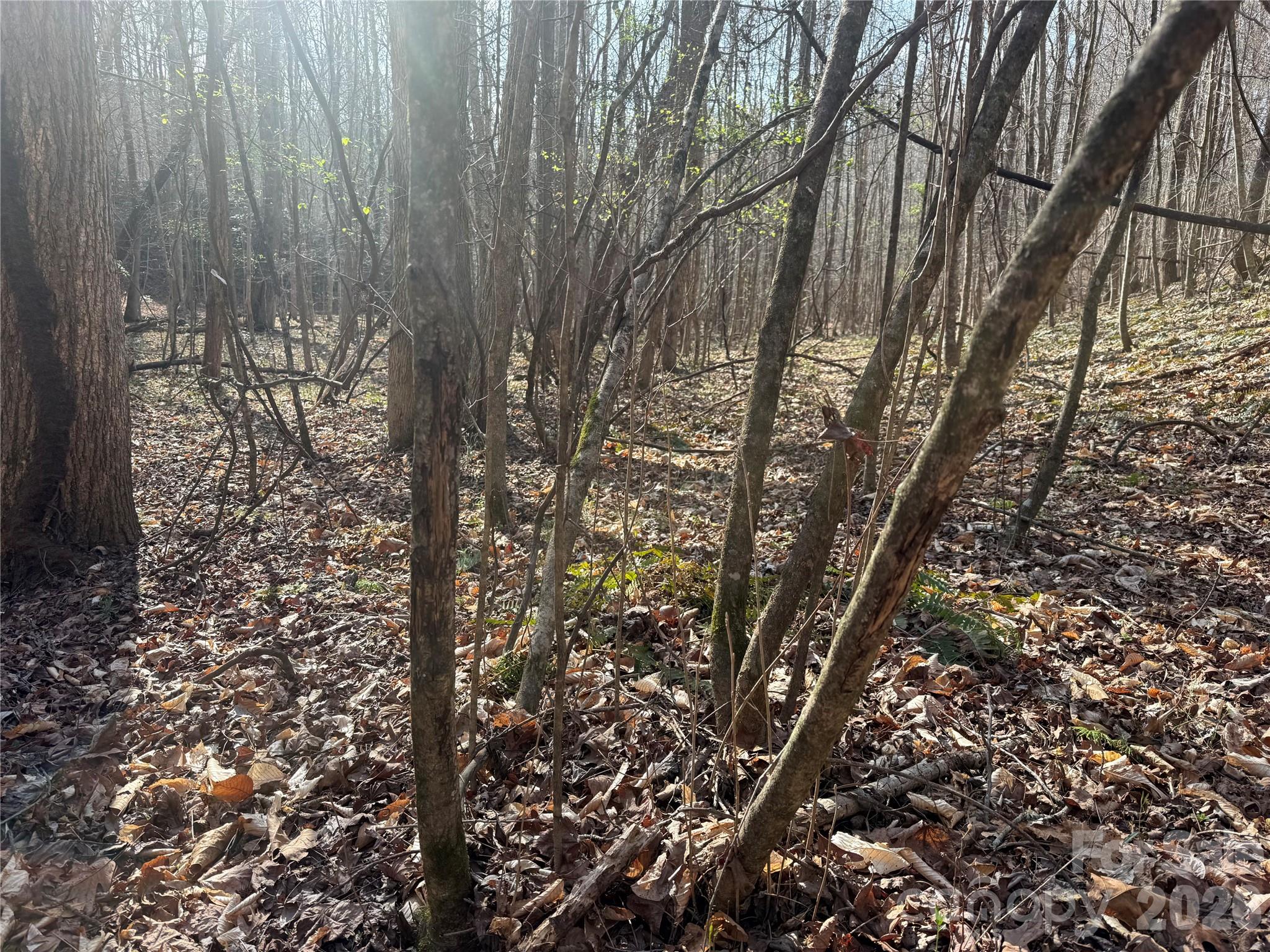 1164 Robert C Kellam Road Pinnacle, NC 27043 - Photo 21 of 48 a view of outdoor space and garden