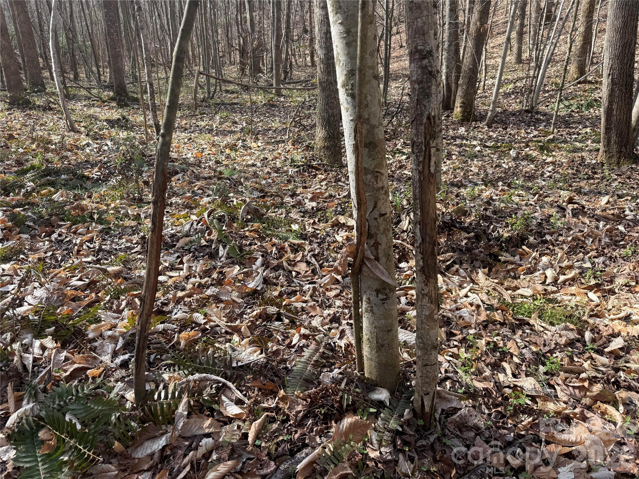 1164 Robert C Kellam Road Pinnacle, NC 27043 - Photo 22 of 48 a view of a wooden door
