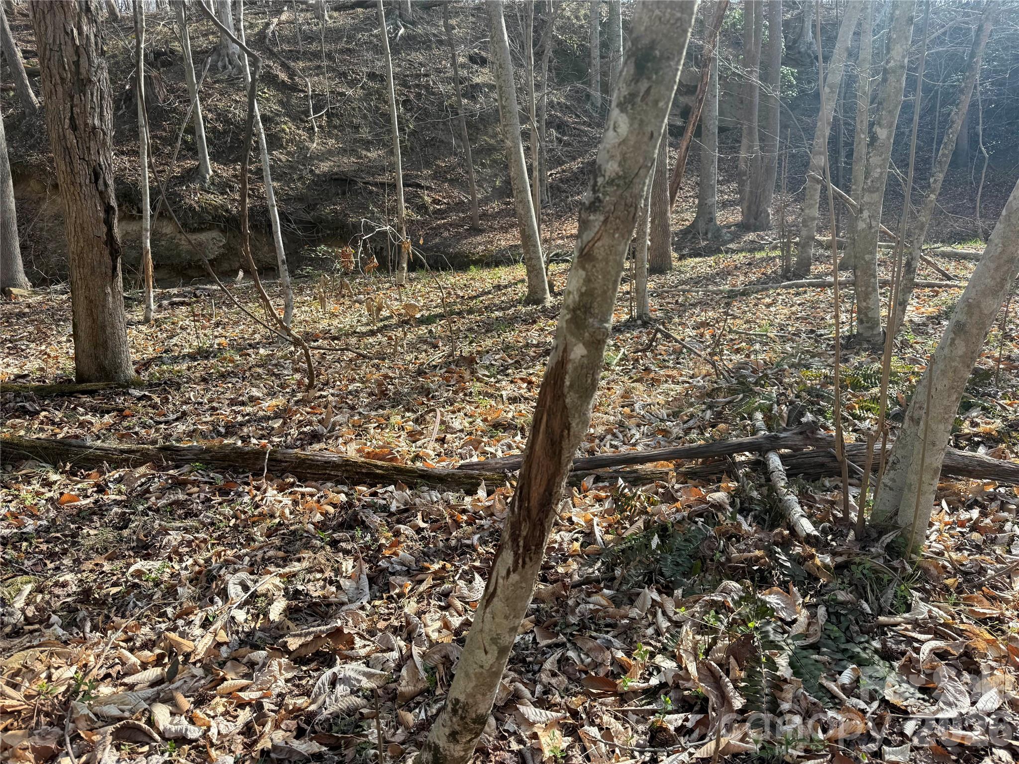 1164 Robert C Kellam Road Pinnacle, NC 27043 - Photo 25 of 48 a view of a yard with iron fence
