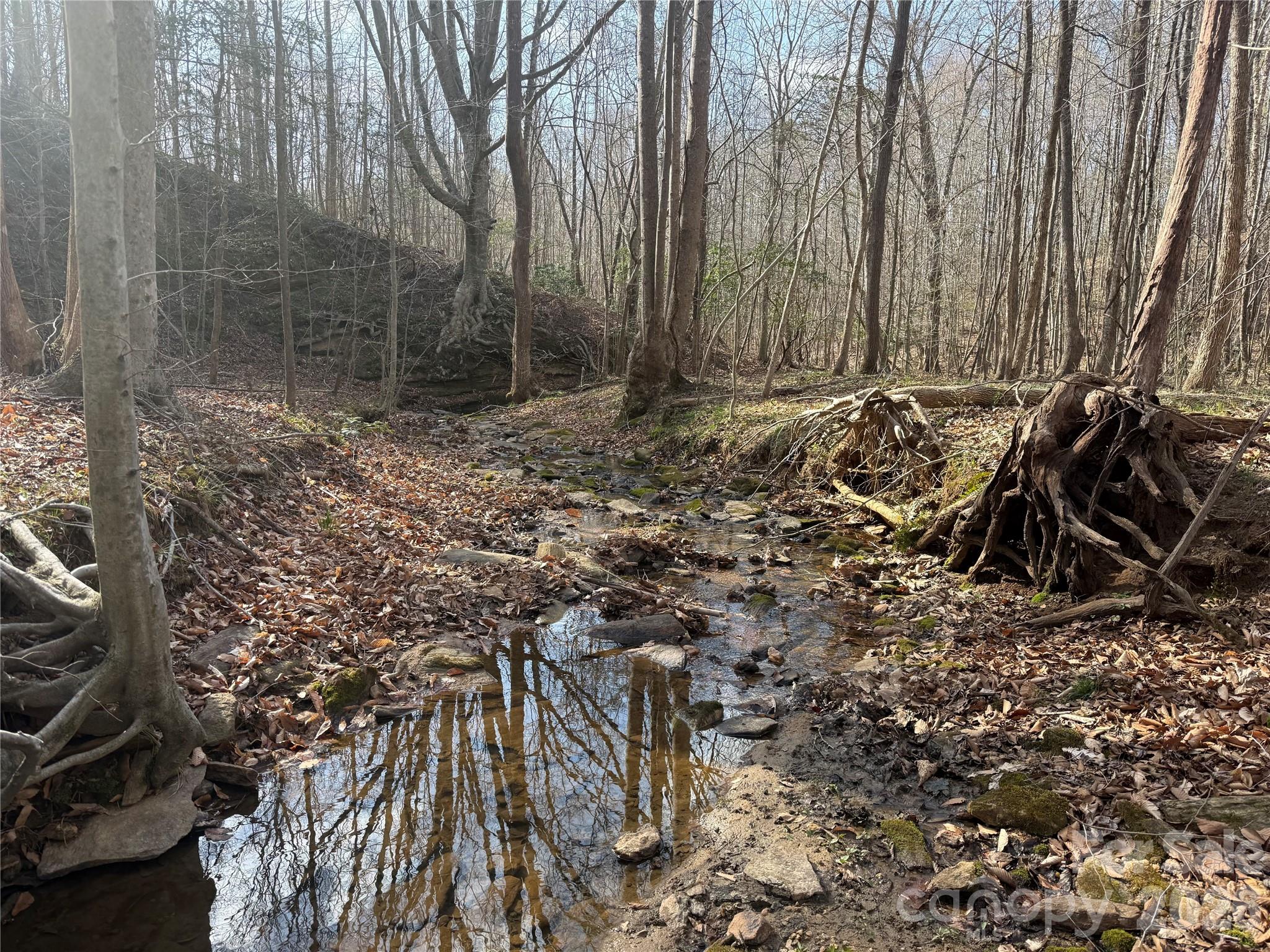 1164 Robert C Kellam Road Pinnacle, NC 27043 - Photo 27 of 48 a view of a backyard of the house