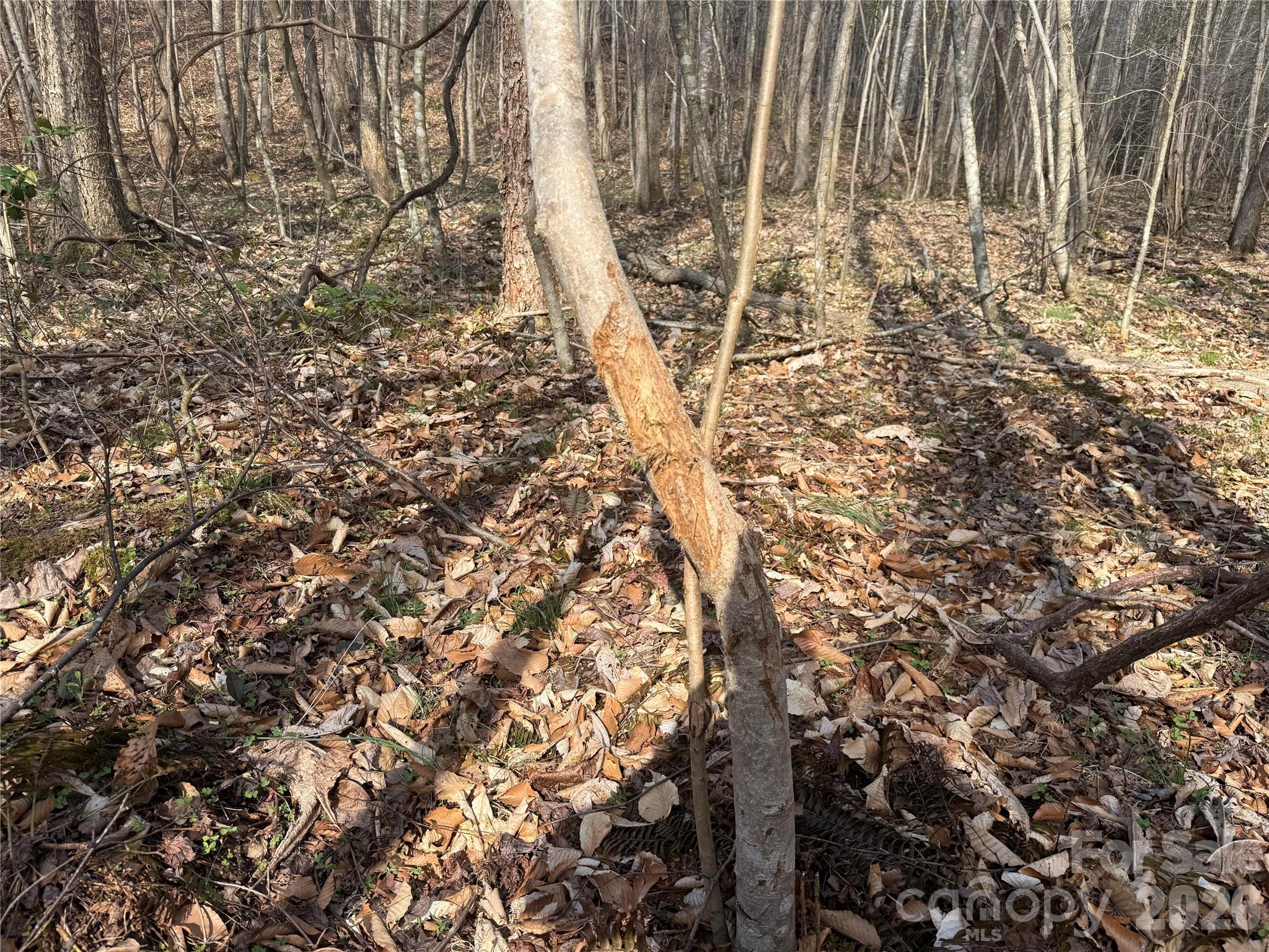 1164 Robert C Kellam Road Pinnacle, NC 27043 - Photo 28 of 48 a view of under construction area