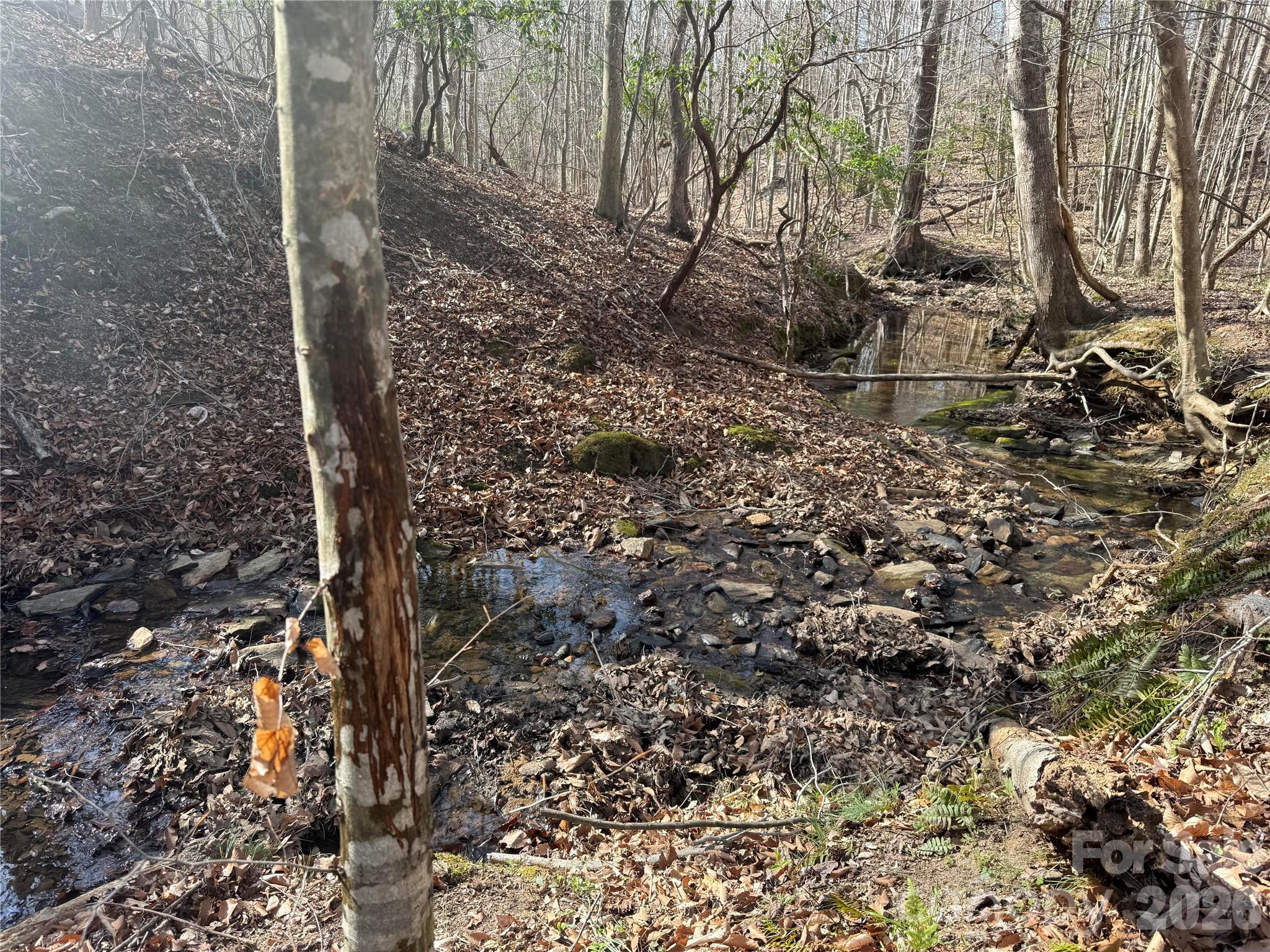 1164 Robert C Kellam Road Pinnacle, NC 27043 - Photo 31 of 48 a view of a forest