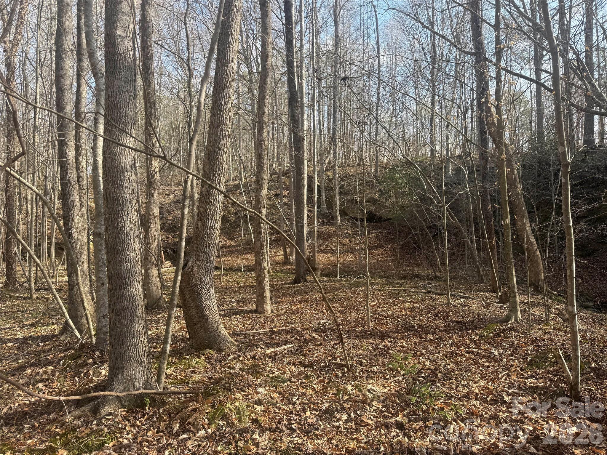 1164 Robert C Kellam Road Pinnacle, NC 27043 - Photo 32 of 48 a backyard of a house with lots of green space