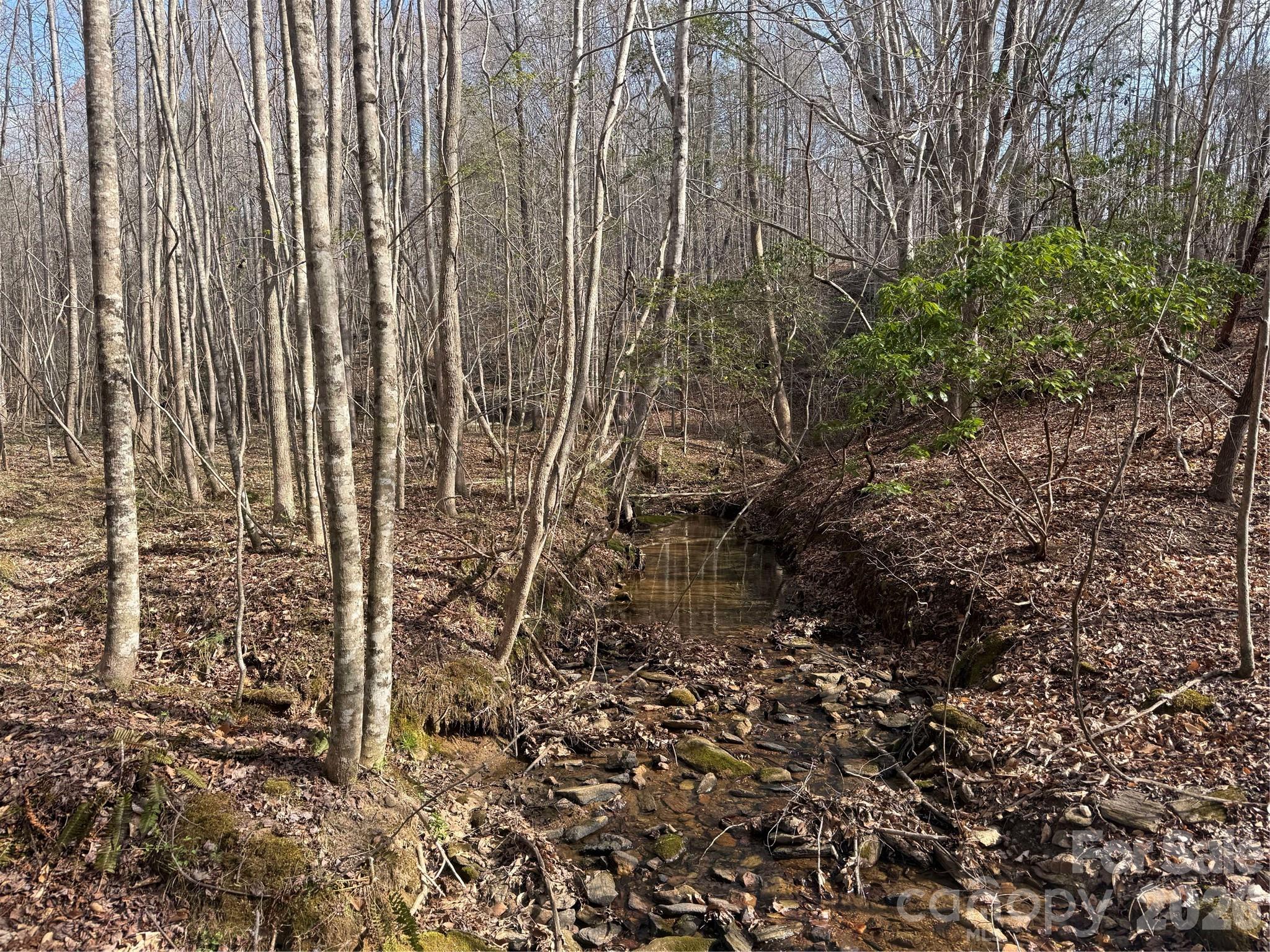 1164 Robert C Kellam Road Pinnacle, NC 27043 - Photo 33 of 48 a view of a garden