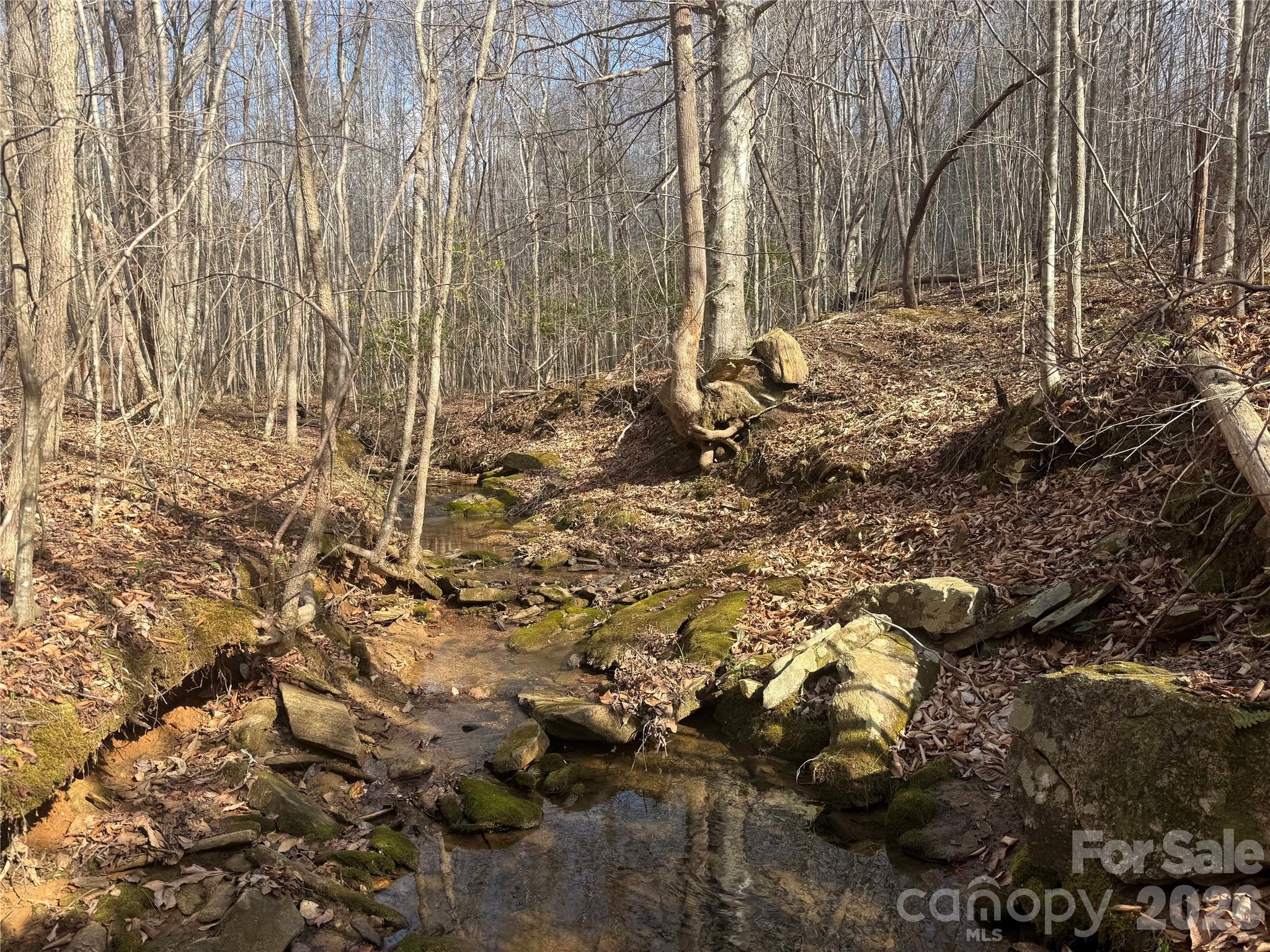 1164 Robert C Kellam Road Pinnacle, NC 27043 - Photo 34 of 48 a view of yard