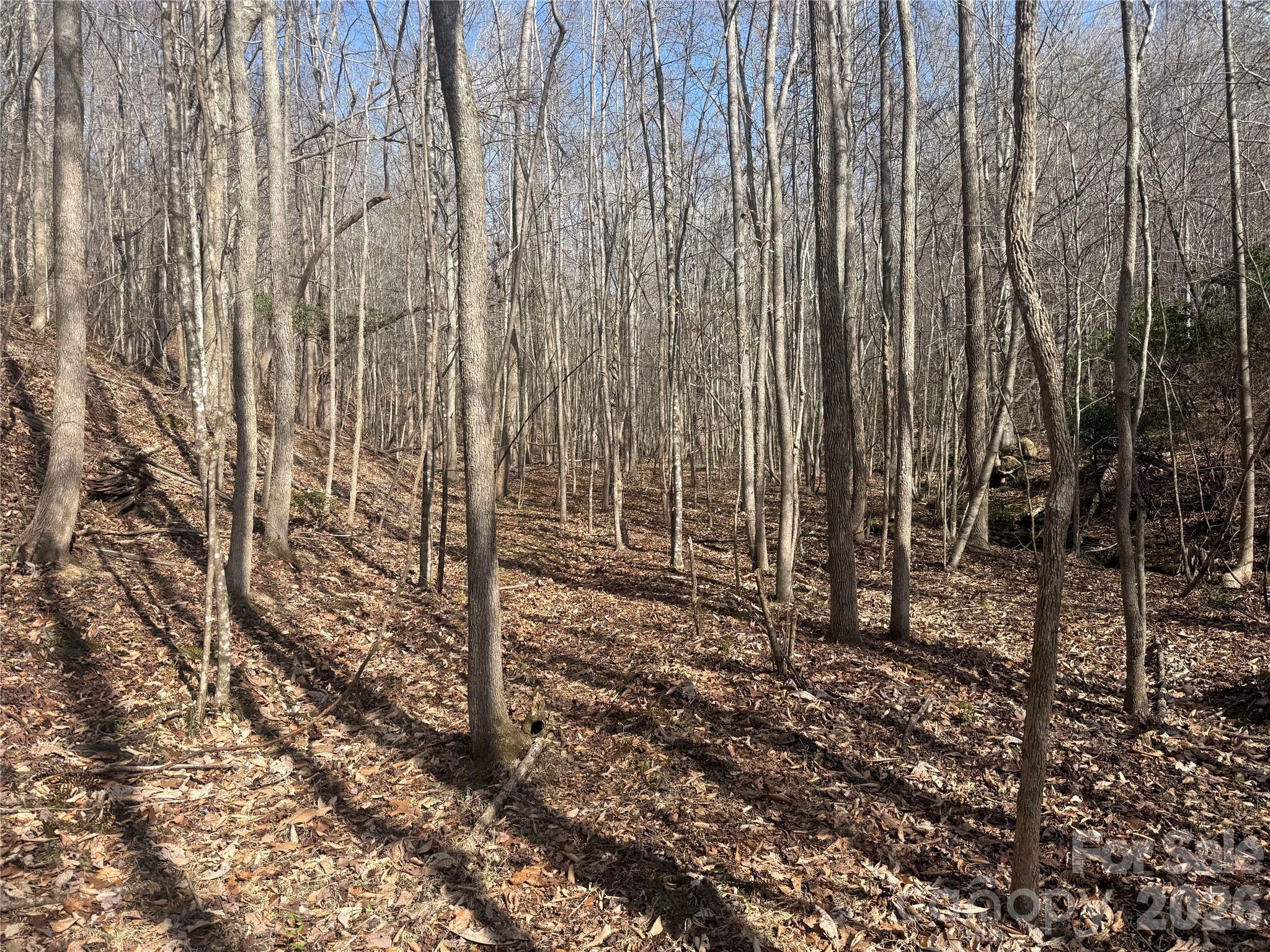 1164 Robert C Kellam Road Pinnacle, NC 27043 - Photo 35 of 48 a view of a backyard with wooden fence