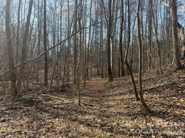 a view of a yard with trees