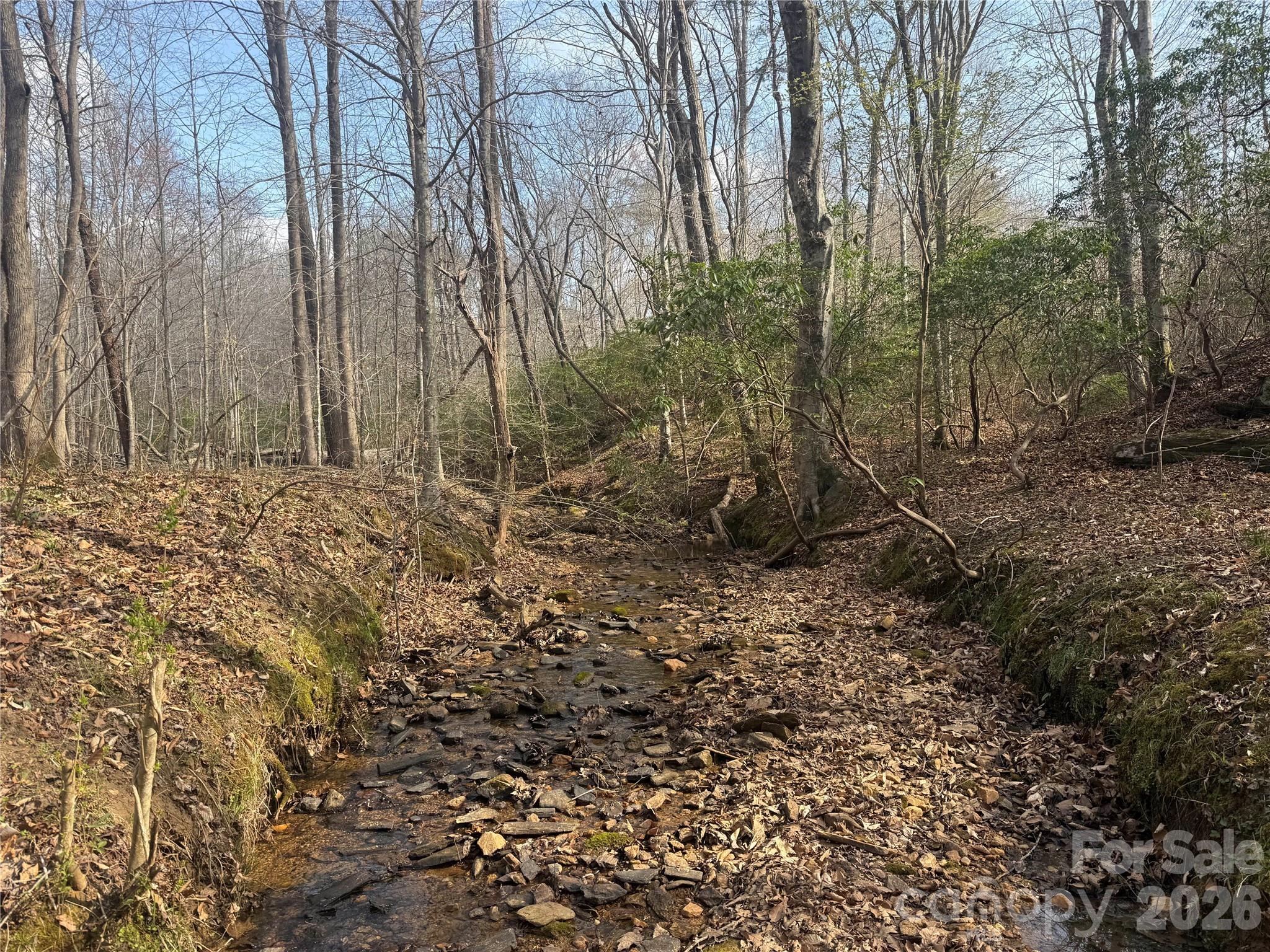 1164 Robert C Kellam Road Pinnacle, NC 27043 - Photo 37 of 48 a view of a yard with trees