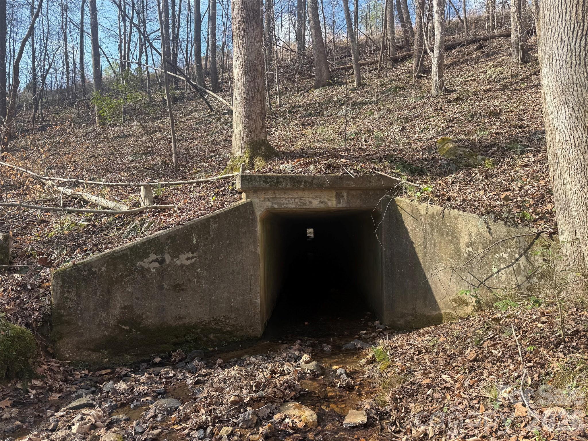 1164 Robert C Kellam Road Pinnacle, NC 27043 - Photo 38 of 48 a view of entryway