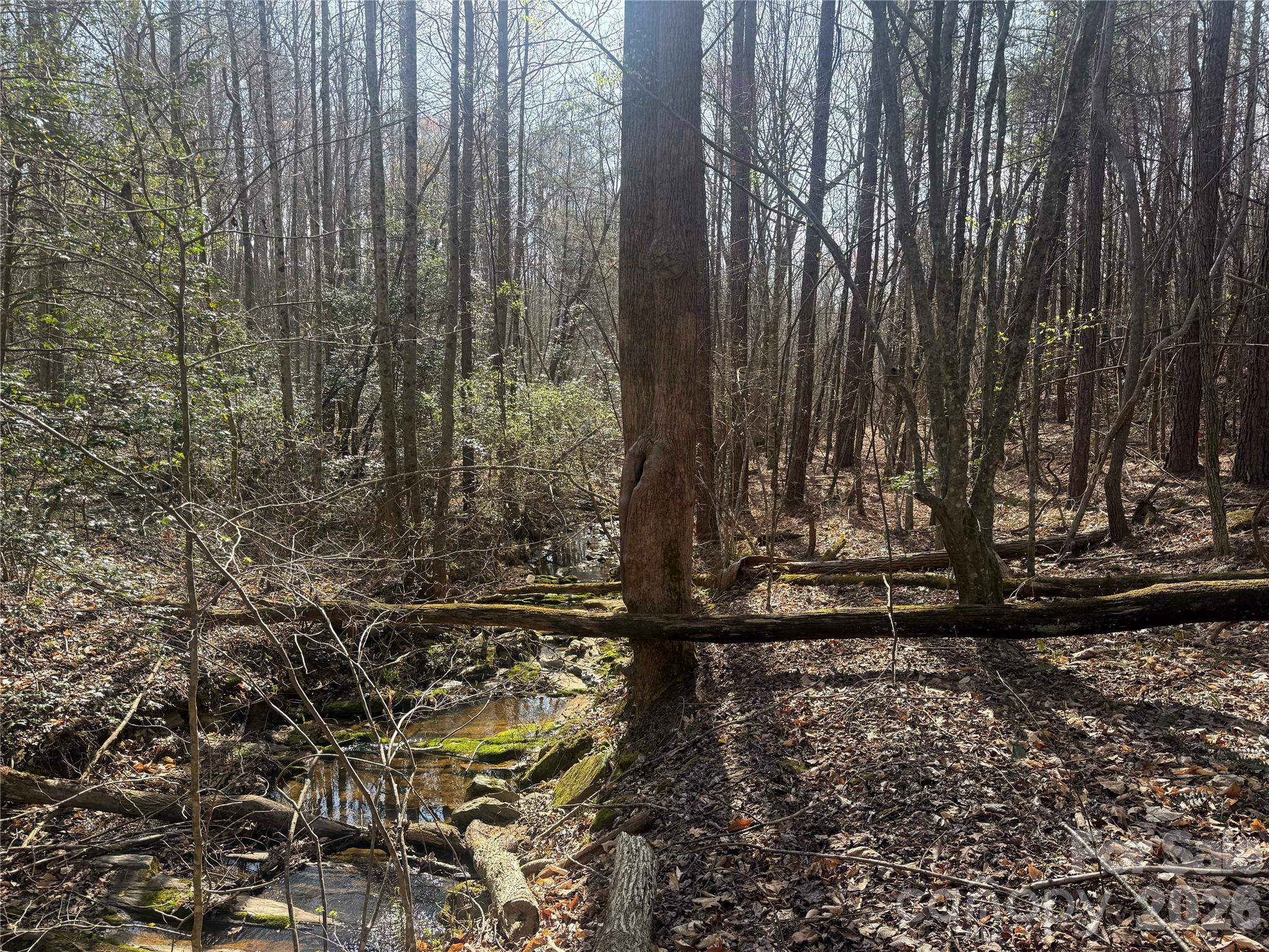 1164 Robert C Kellam Road Pinnacle, NC 27043 - Photo 43 of 48