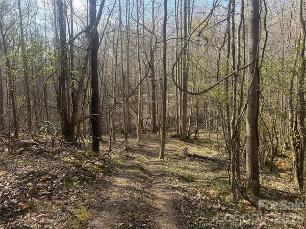 a view of outdoor space with trees