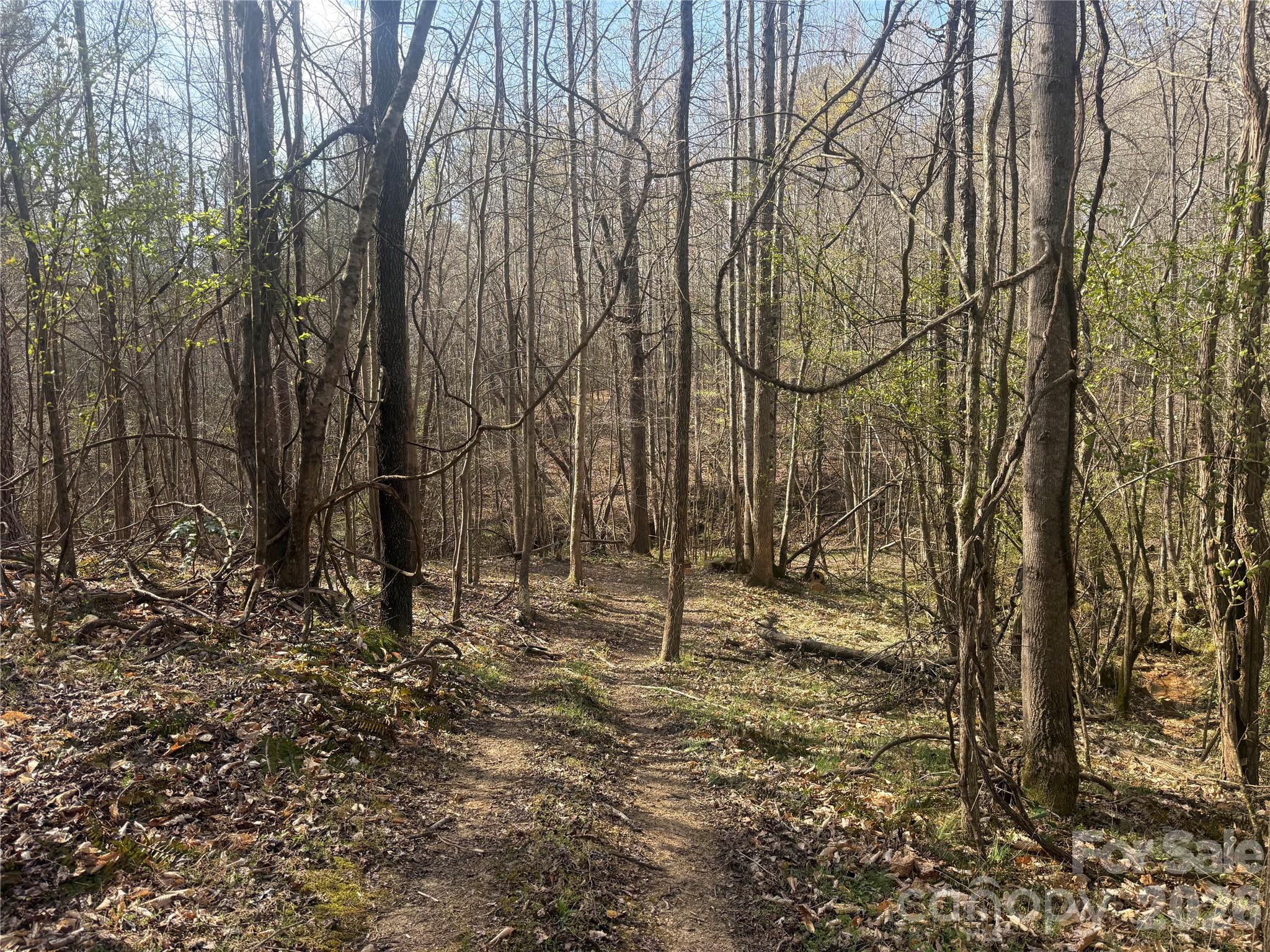 1164 Robert C Kellam Road Pinnacle, NC 27043 - Photo 44 of 48 a backyard of a house with lots of green space