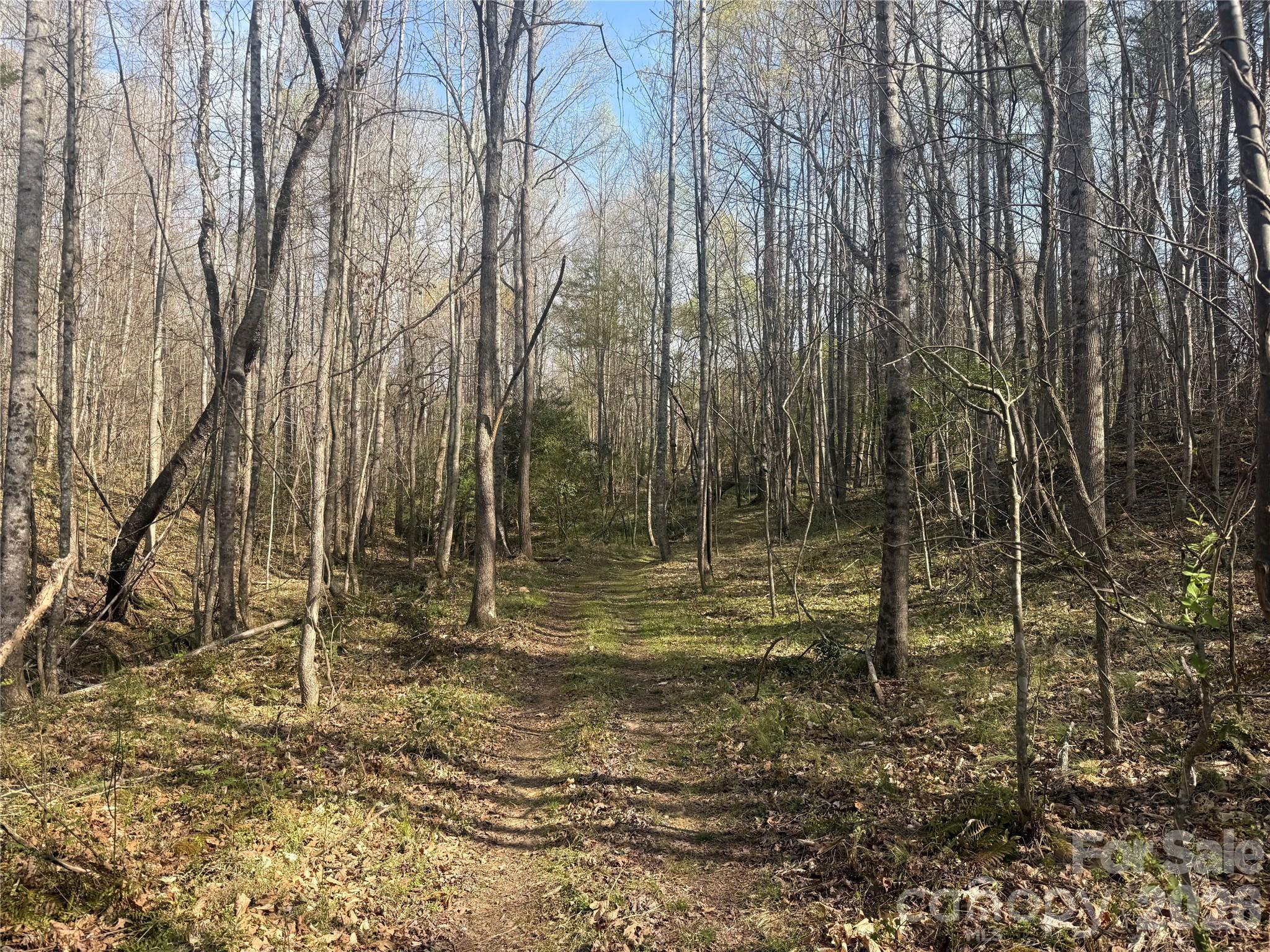 1164 Robert C Kellam Road Pinnacle, NC 27043 - Photo 45 of 48 a view of a backyard
