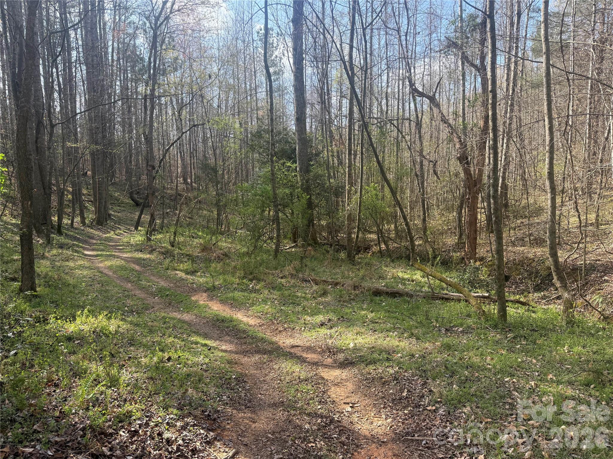 1164 Robert C Kellam Road Pinnacle, NC 27043 - Photo 46 of 48 a view of outdoor space with trees