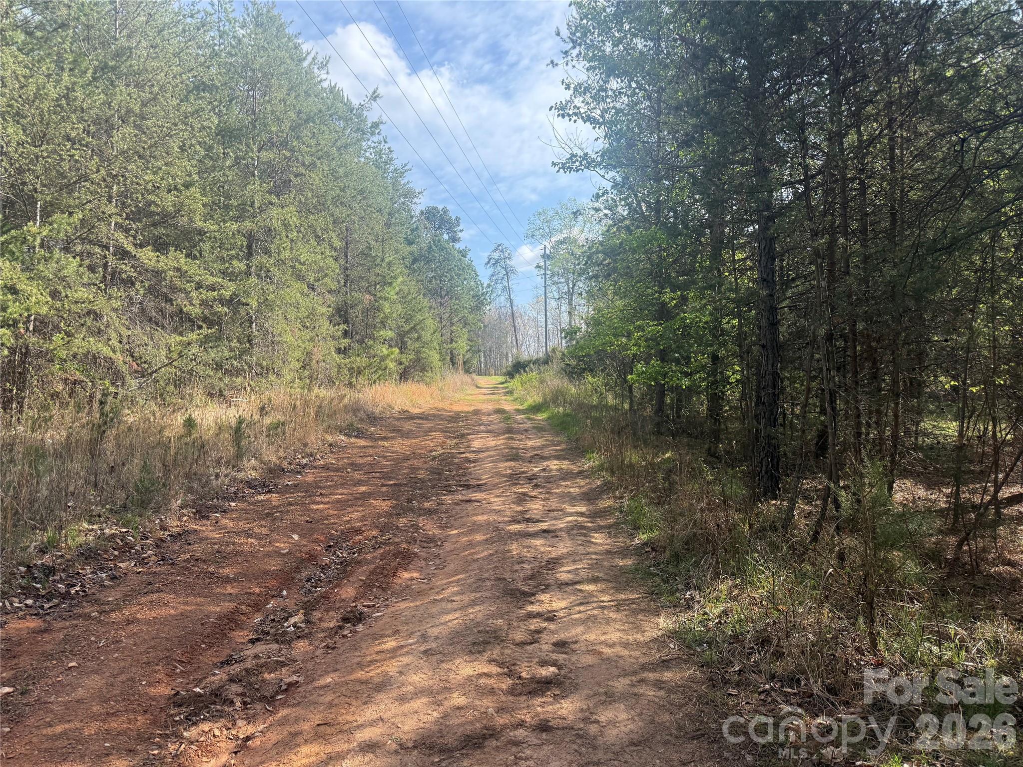 1164 Robert C Kellam Road Pinnacle, NC 27043 - Photo 47 of 48 a view of a yard with a tree