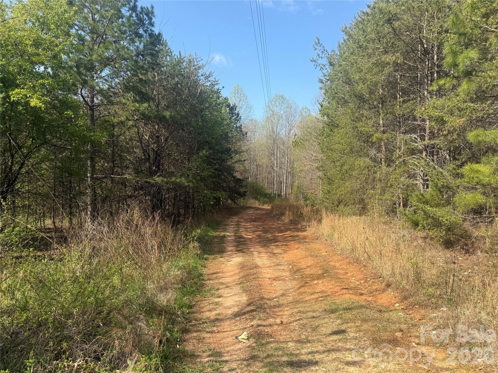 1164 Robert C Kellam Road Pinnacle, NC 27043 - Photo 48 of 48 a view of a lake view