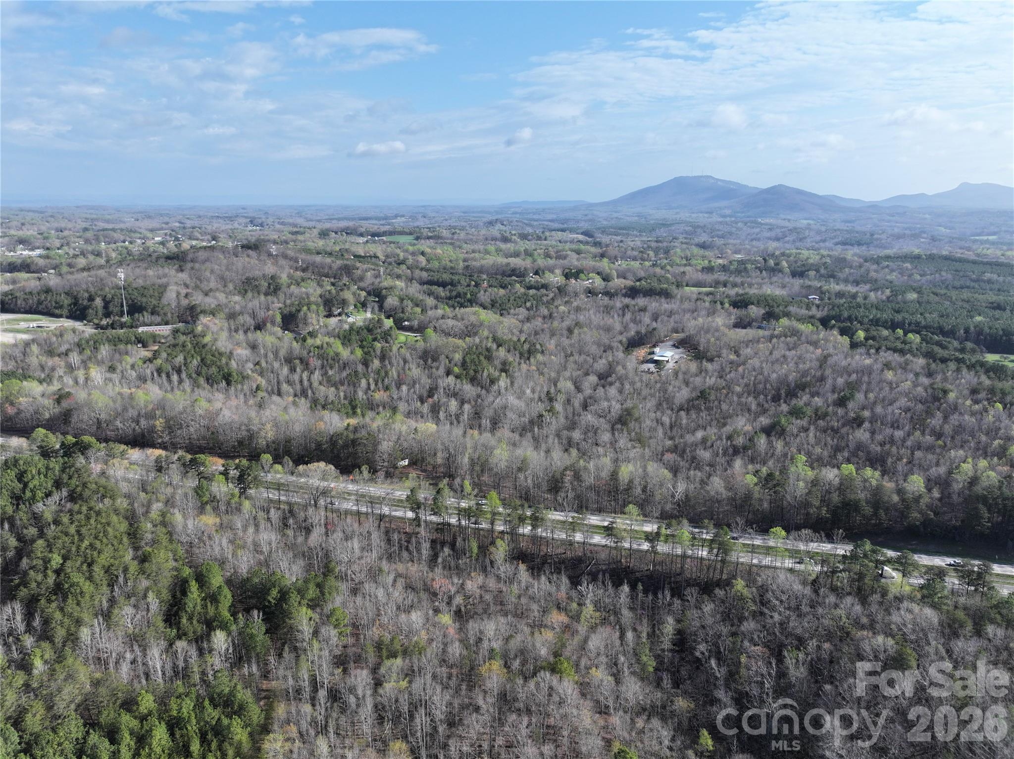 1164 Robert C Kellam Road Pinnacle, NC 27043 - Photo 5 of 48 a view of a city with lush green forest