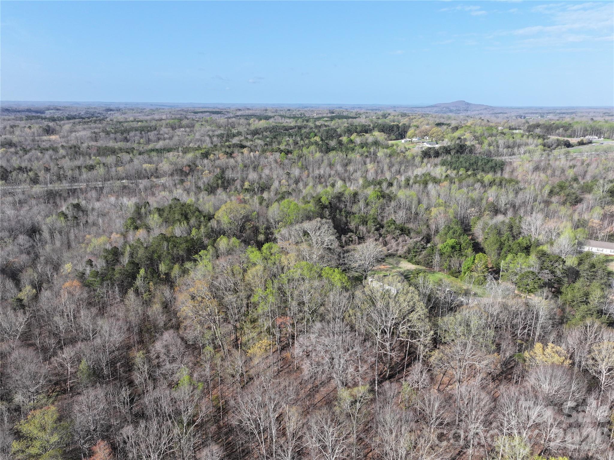 1164 Robert C Kellam Road Pinnacle, NC 27043 - Photo 10 of 48 a view of a large trees with lots of trees
