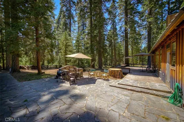 a view of backyard with outdoor seating and trees