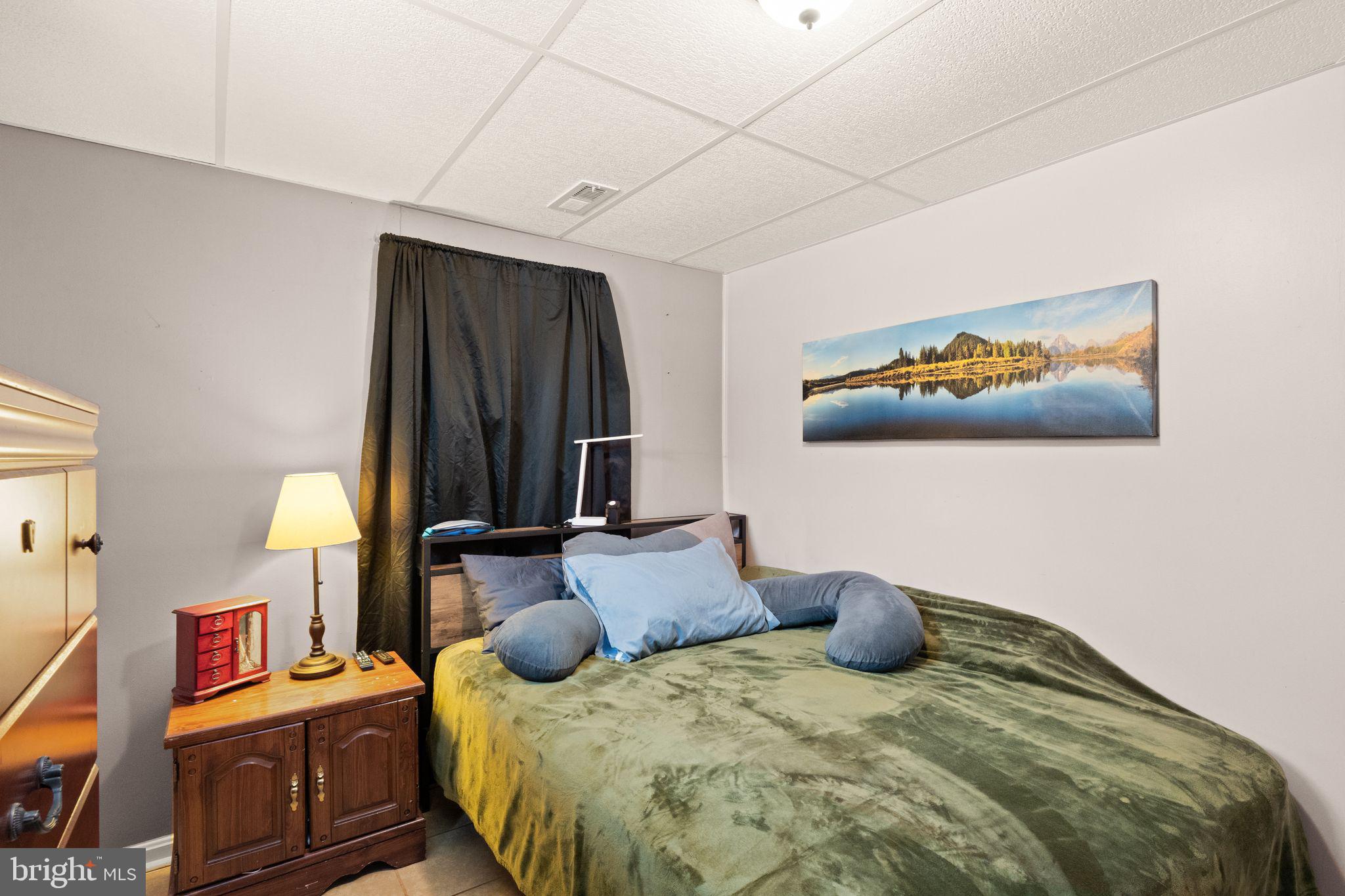 7411 Bull Run Road Manassas, VA 20111 - Photo 29 of 55 Lower Level Bedroom