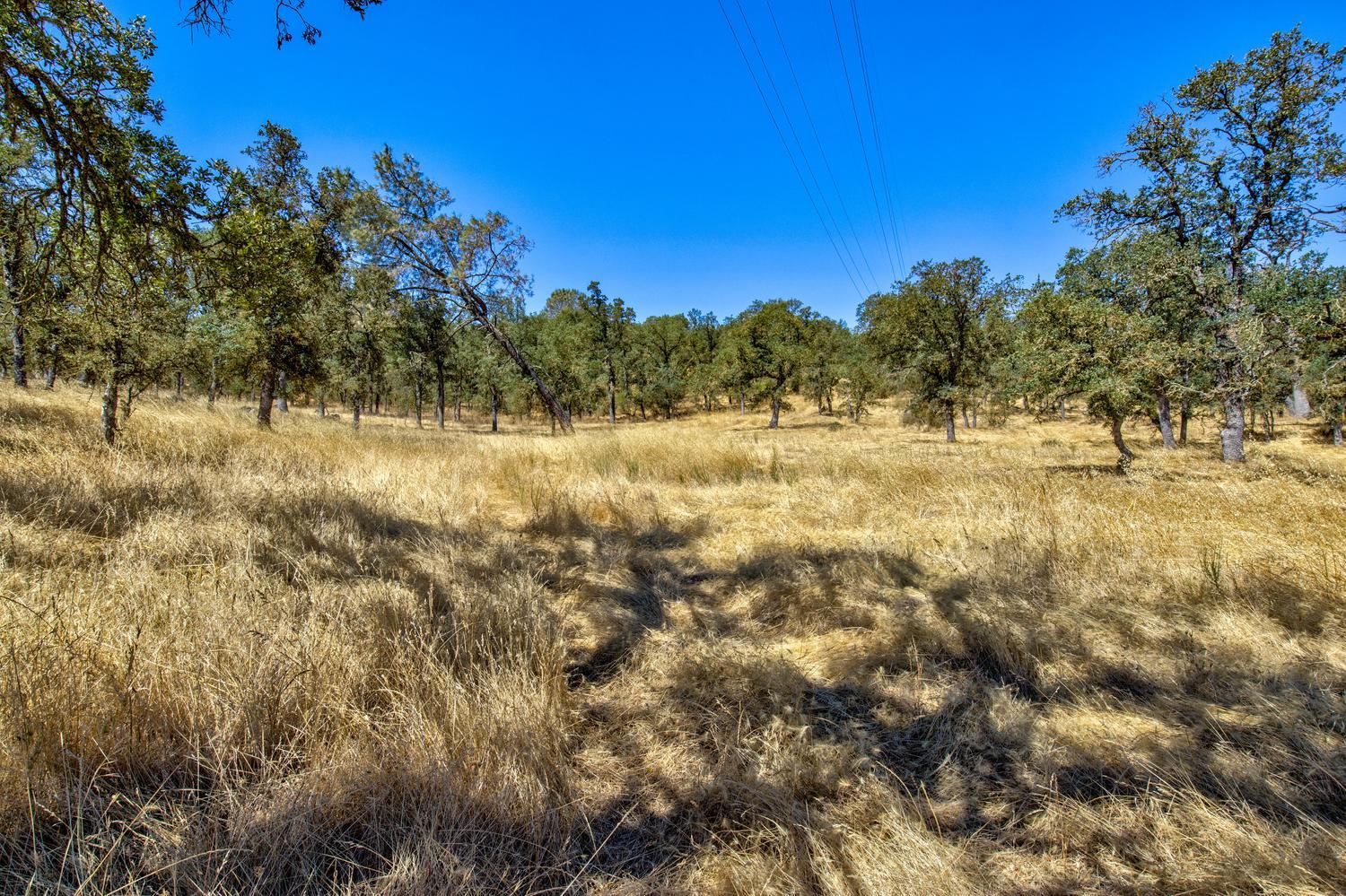 12550 Hogan Dam Road Farmington, CA 95230 - Photo 54 of 75