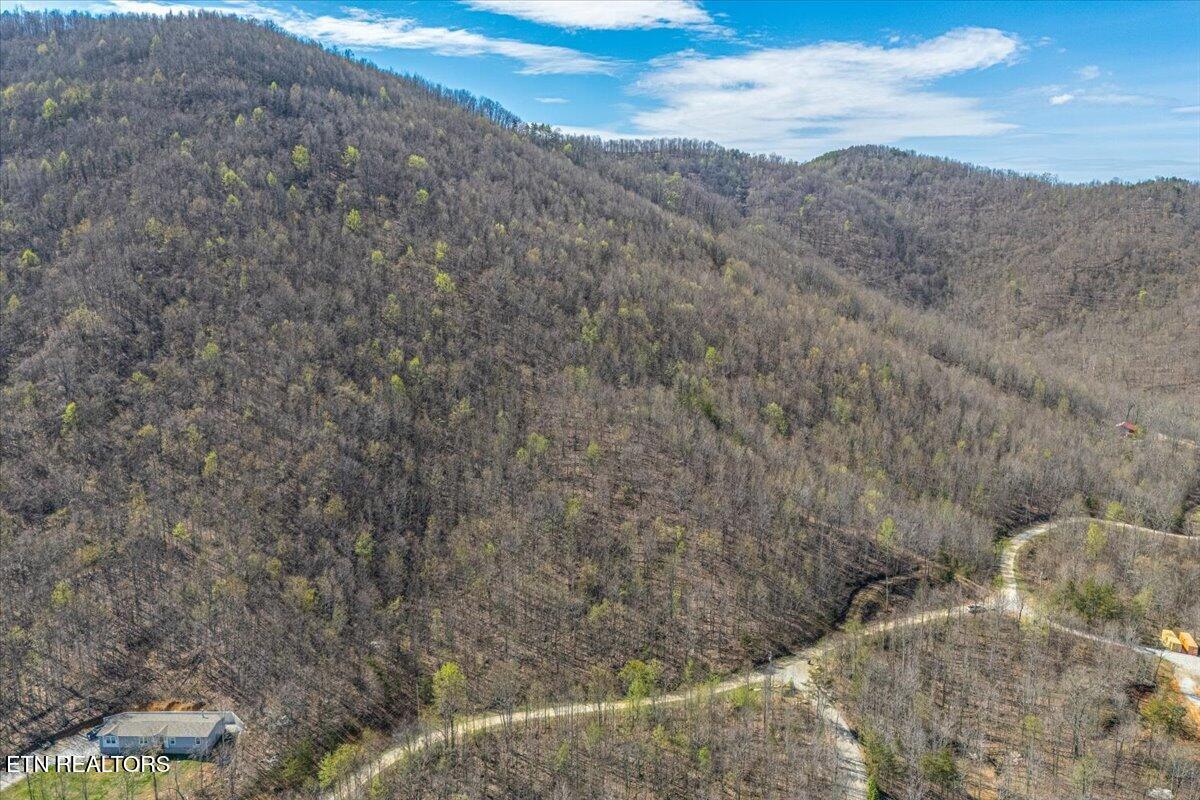 422 Crooked Branch Road Huntsville, TN 37756 - Photo 6 of 35 06-Lot Line A6