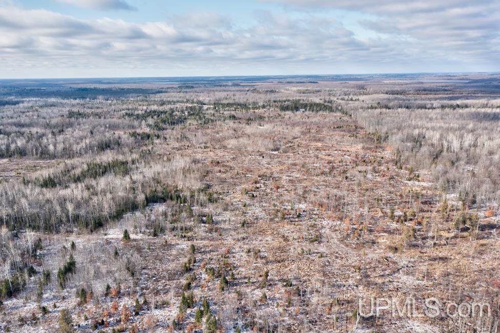 Jimtown Road Stephenson, MI 49887 - Photo 13 of 16