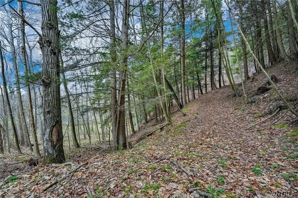 $349,000 | 1573 State Route 19, Wellsville, NY 14895