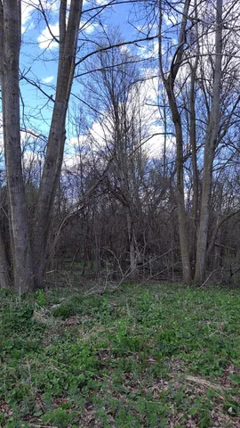 $357,000 | 60 Jackson Wi 53037, Jackson, WI 53037