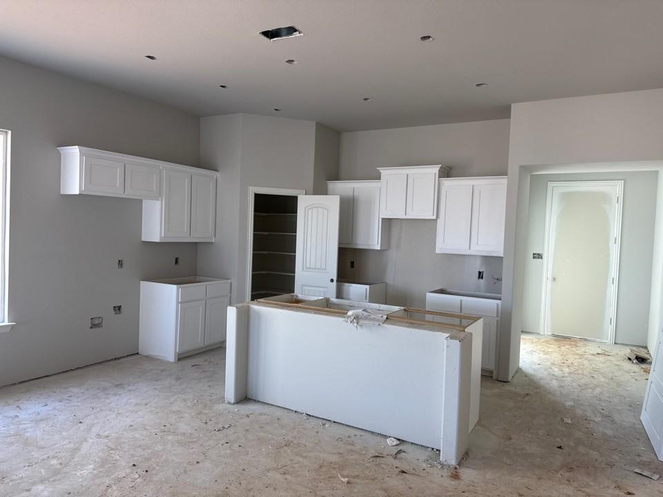 1225 Sabine River Lane Springtown, TX 76082 - Photo 3 of 7