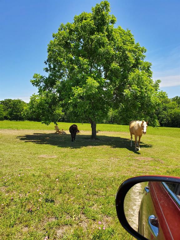 7263 Highway 276 Point, TX 75472 - Photo 26 of 39 Photo of property in bloom