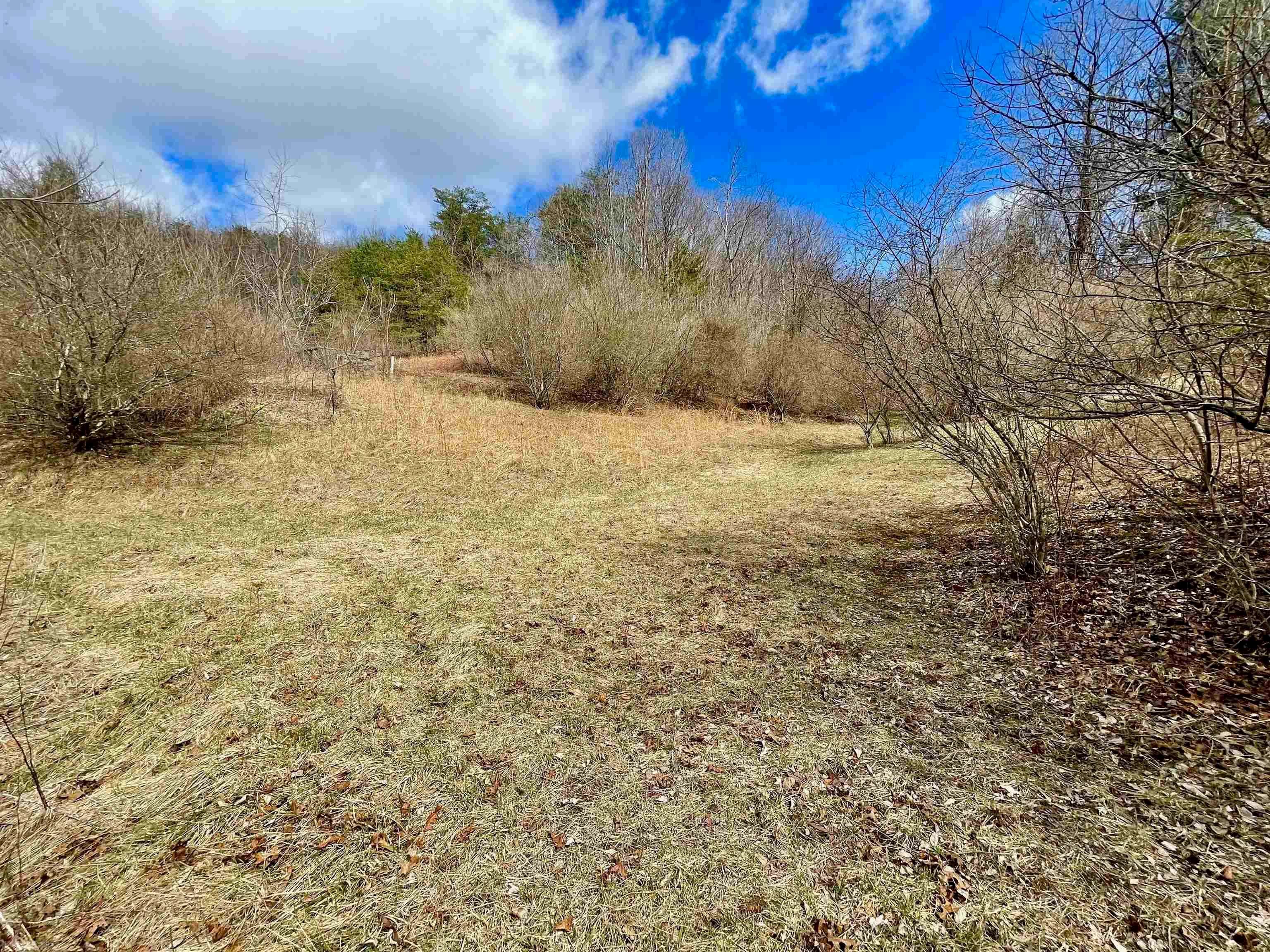 582 Bethlehem Church Road Northeast Floyd, VA 24091 - Photo 16 of 23 Gallery Image 16