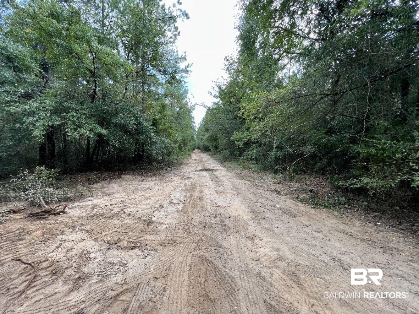 0 Bear Fork Road Mobile, AL 36618 - Photo 49 of 50