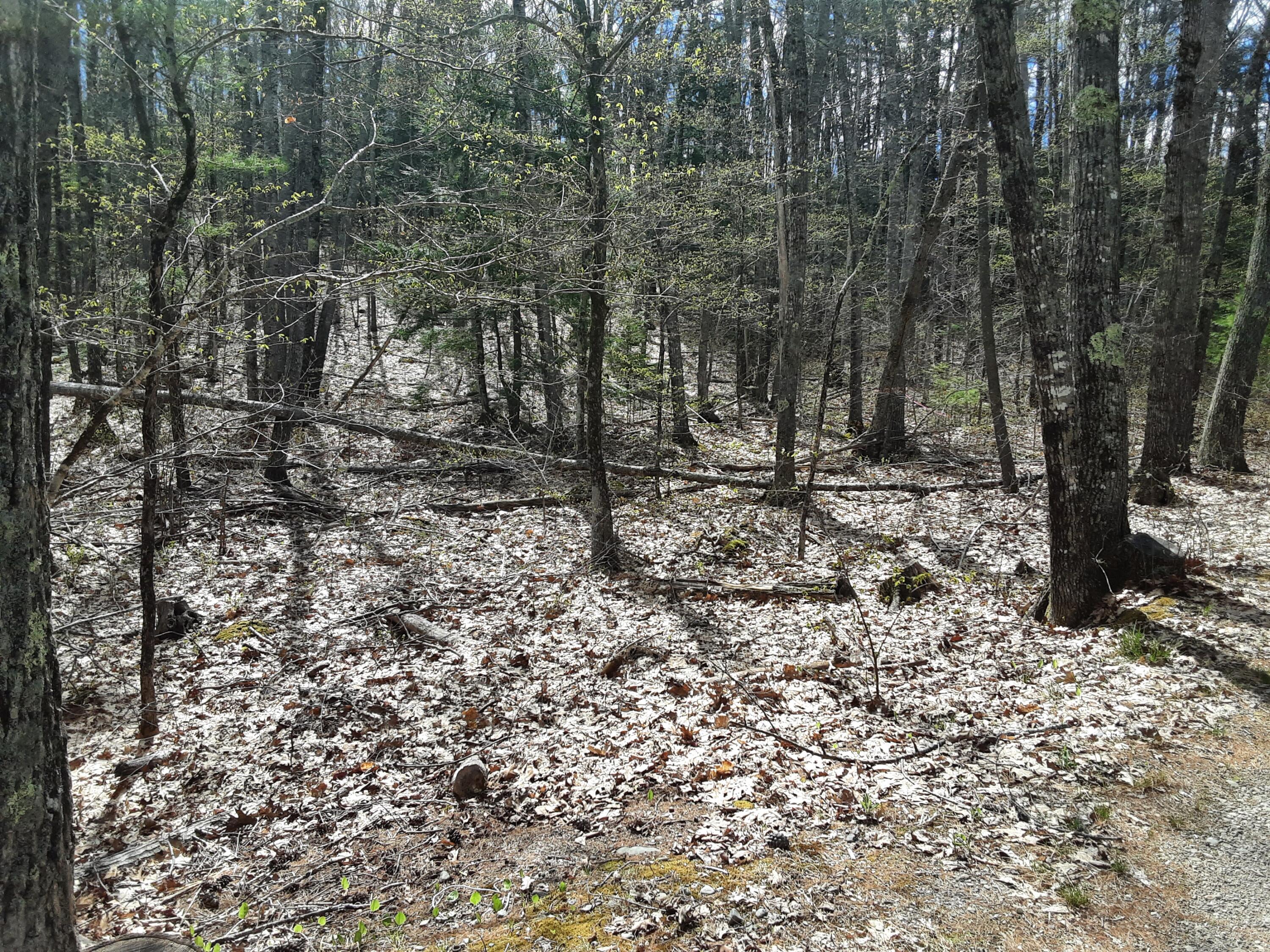 0 Libby Road Jefferson, ME 04348 - Photo 3 of 5