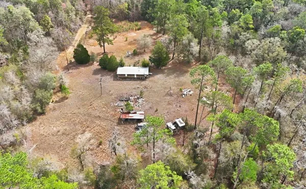 a view of a yard with plants