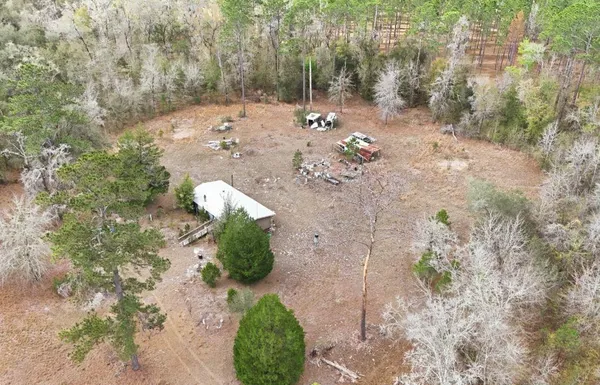 a view of a garden with a pathway