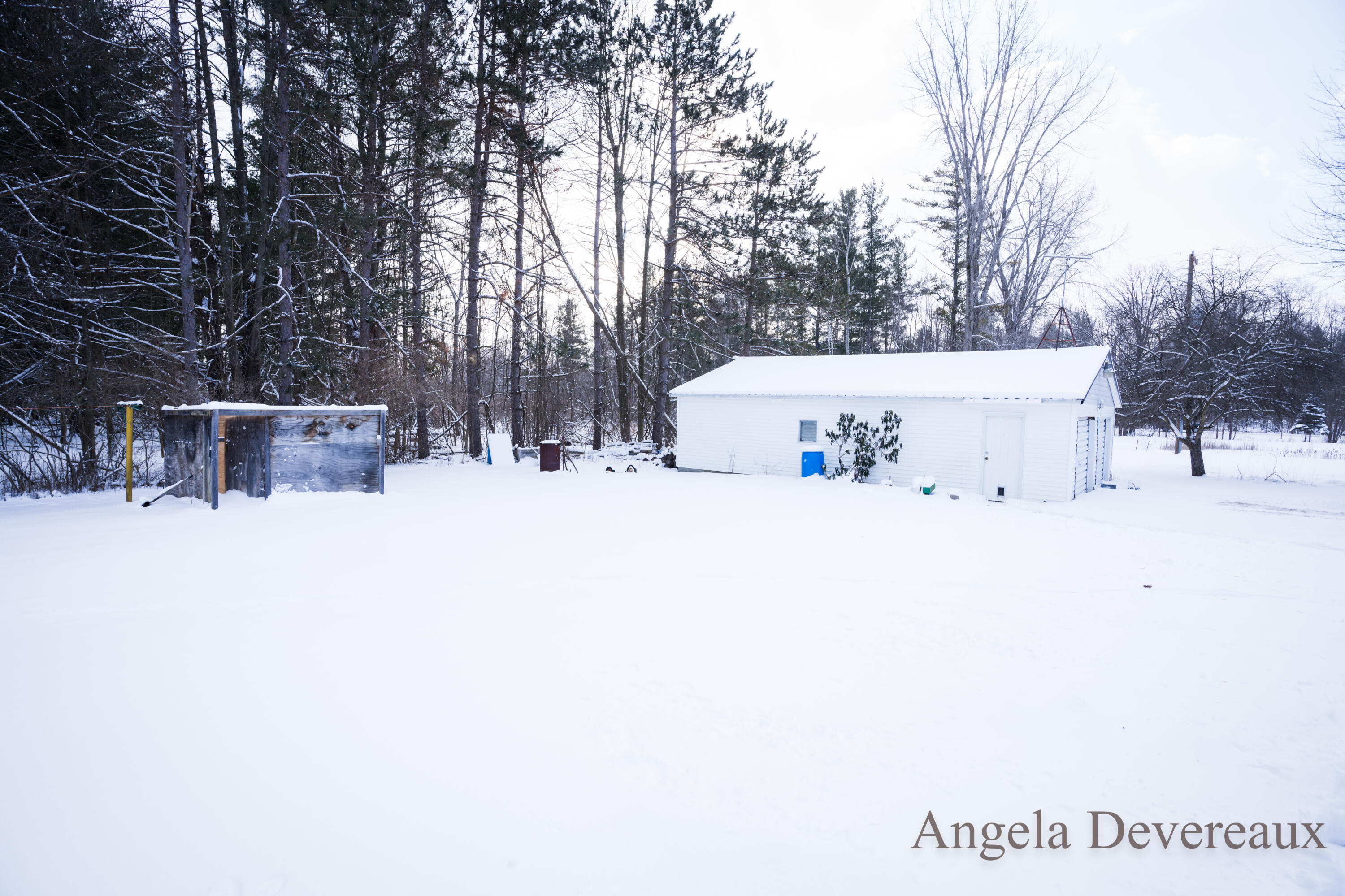 6040 North Hillman Road Six Lakes, MI 48886 - Photo 26 of 35 DSC07768