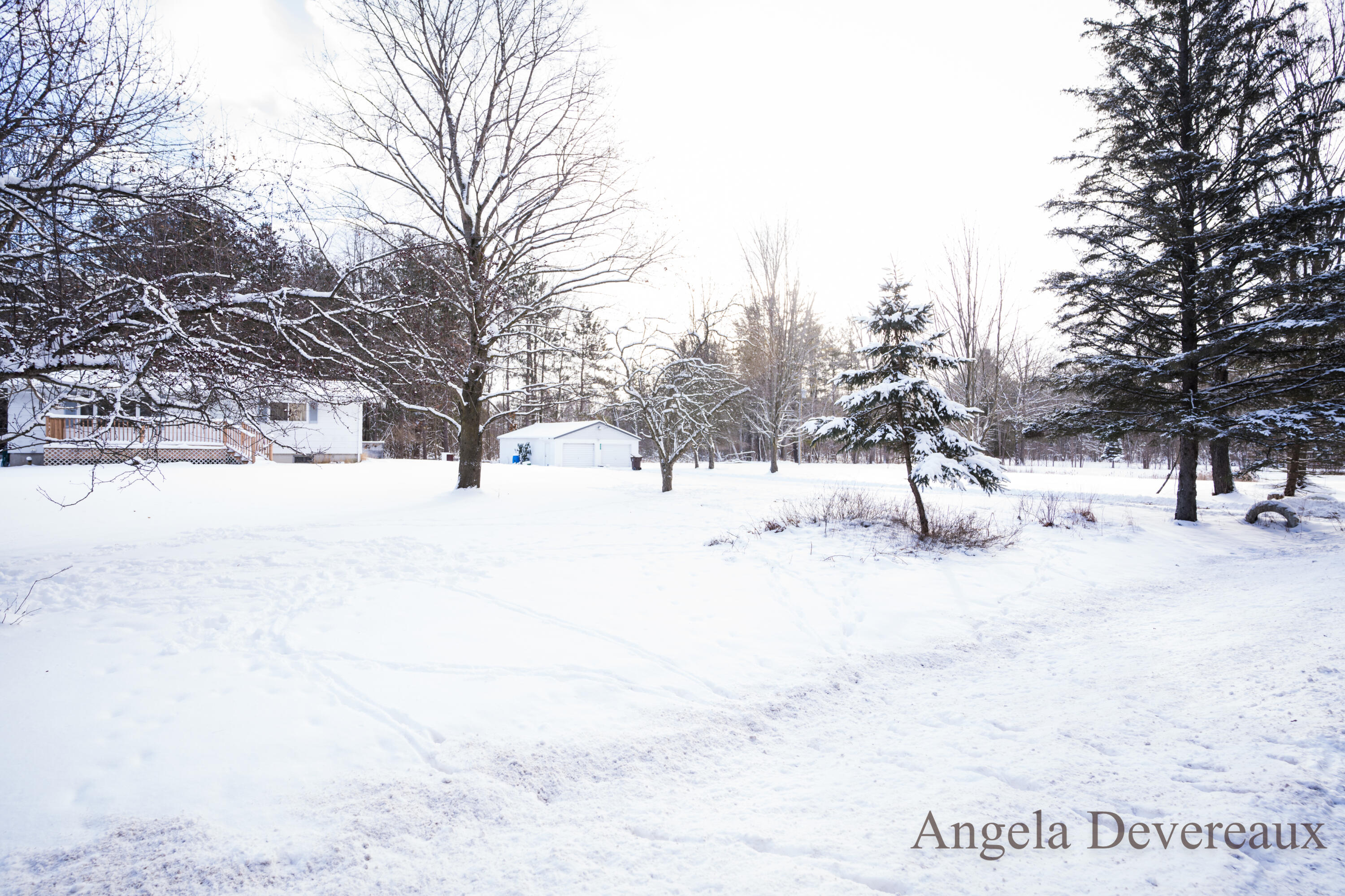 6040 North Hillman Road Six Lakes, MI 48886 - Photo 3 of 35 DSC07743