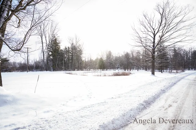 $189,000 | 6040 North Hillman Road, Six Lakes, MI 48886