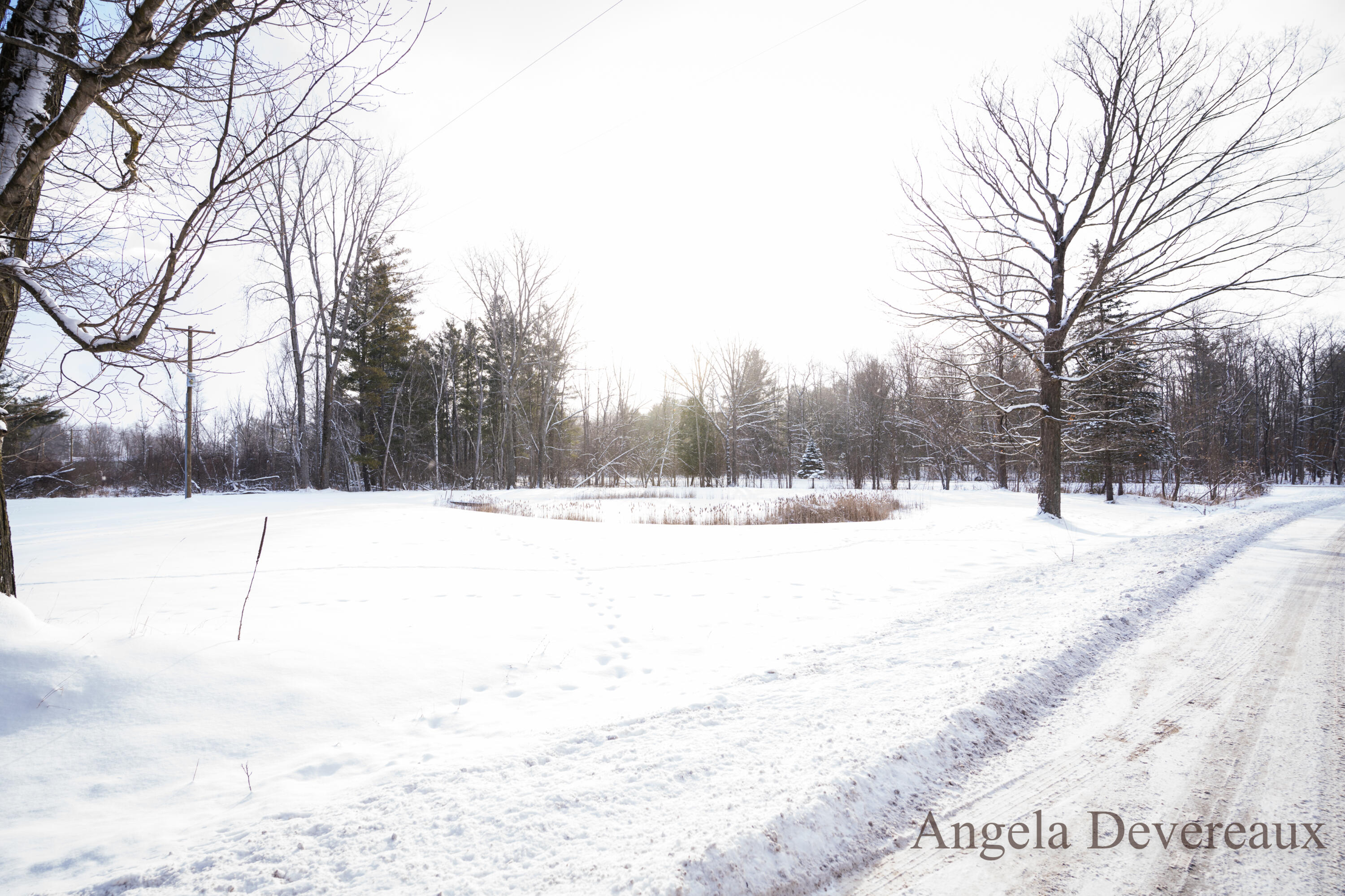 6040 North Hillman Road Six Lakes, MI 48886 - Photo 31 of 35 DSC07749