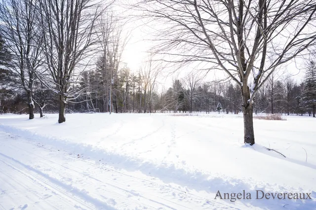 $189,000 | 6040 North Hillman Road, Six Lakes, MI 48886