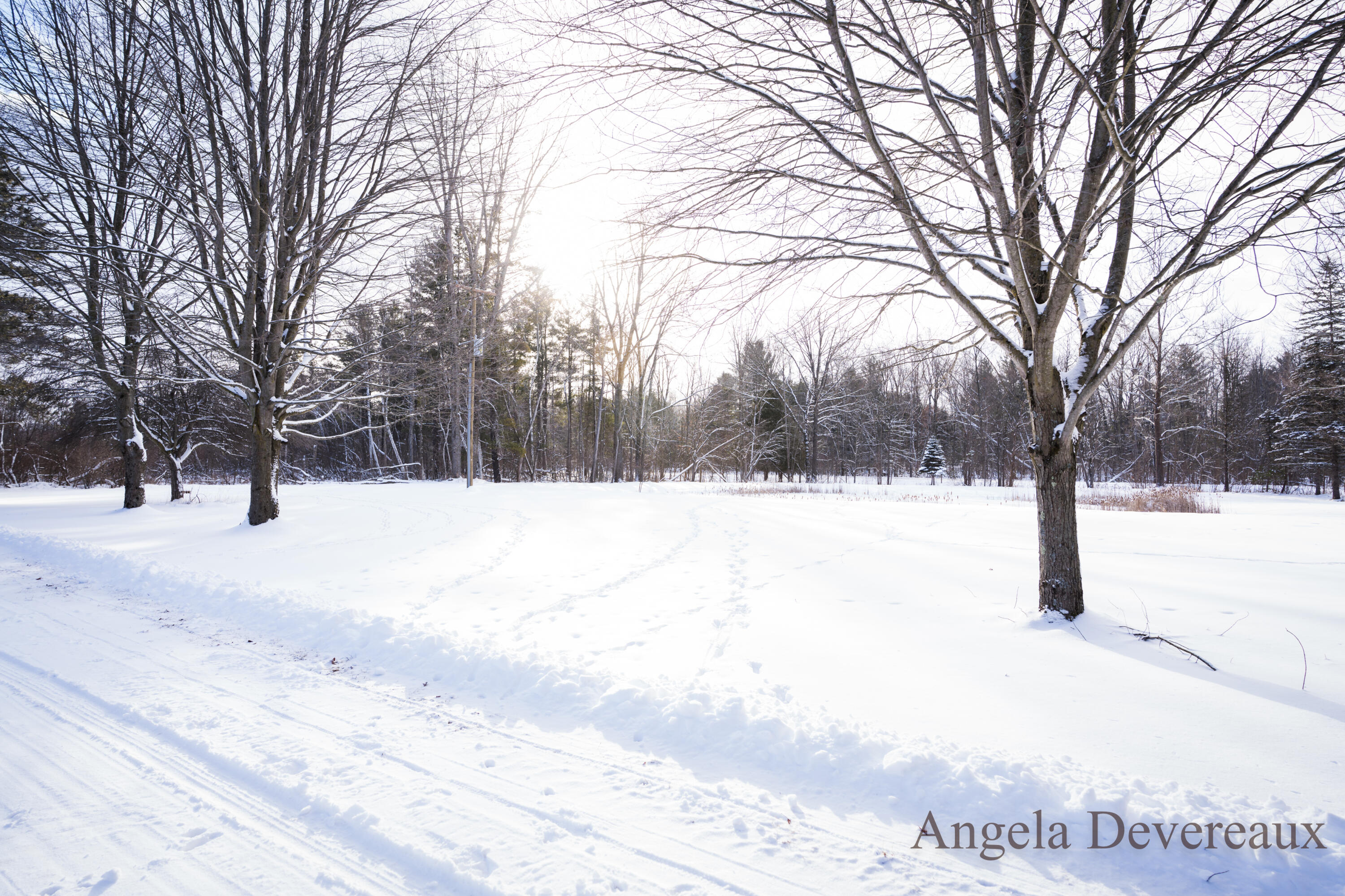 6040 North Hillman Road Six Lakes, MI 48886 - Photo 32 of 35 DSC07740