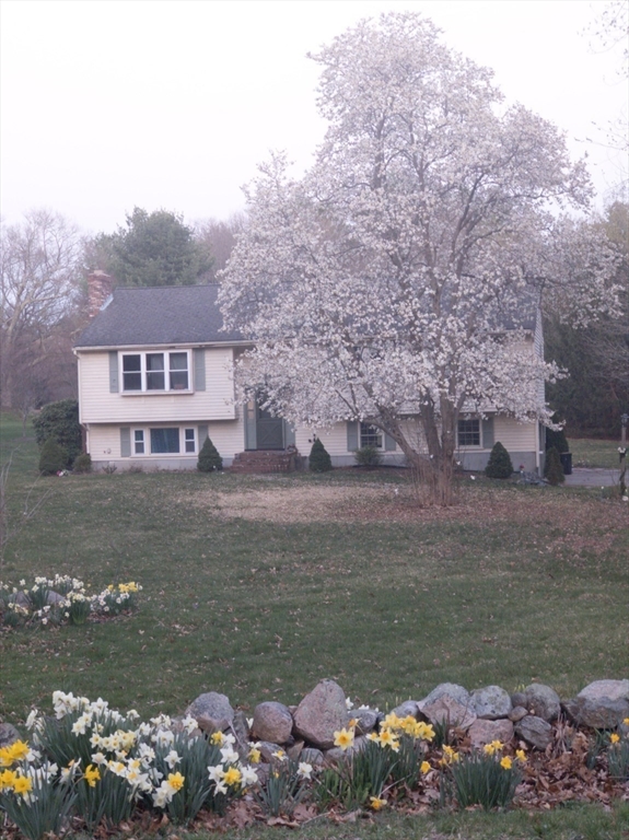 33 Myrtle Street Millis, MA 02054 - Photo 2 of 8