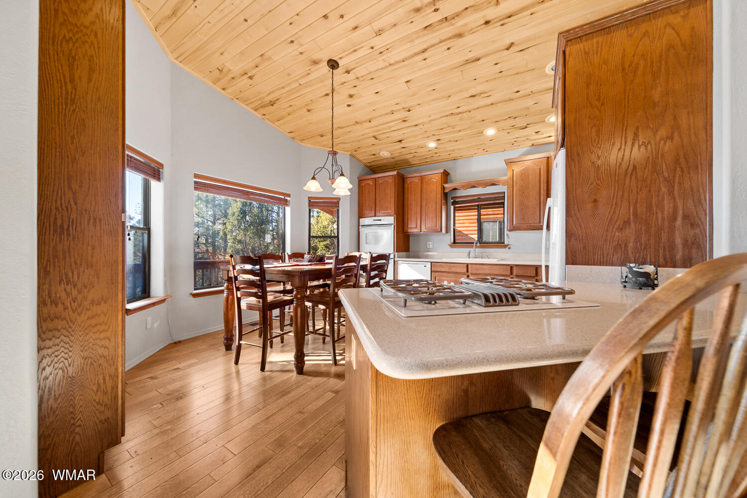 2940 Constellation Lane Overgaard, AZ 85933 - Photo 11 of 86 TF-6_(2084)