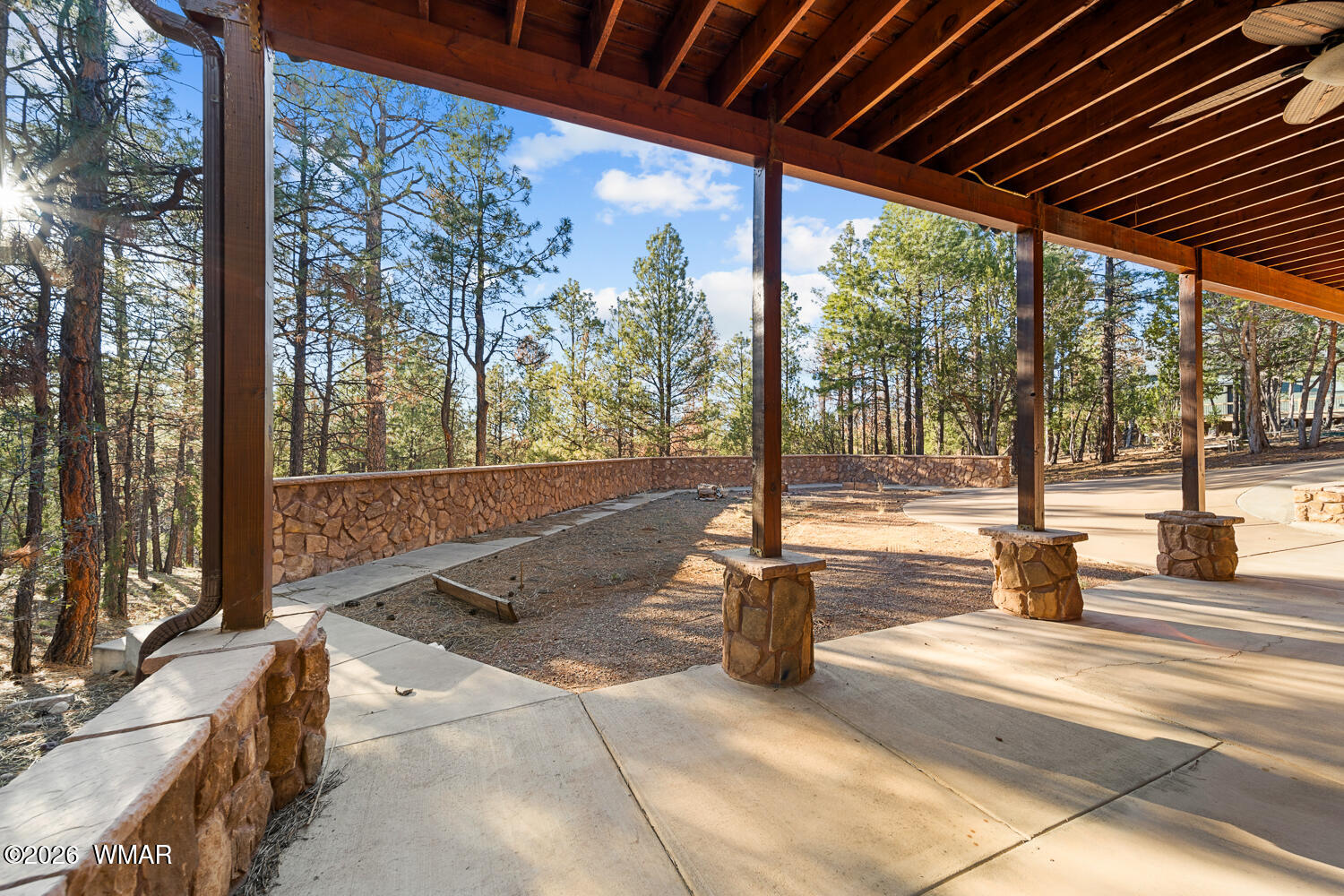 2940 Constellation Lane Overgaard, AZ 85933 - Photo 44 of 86 Outdoor living